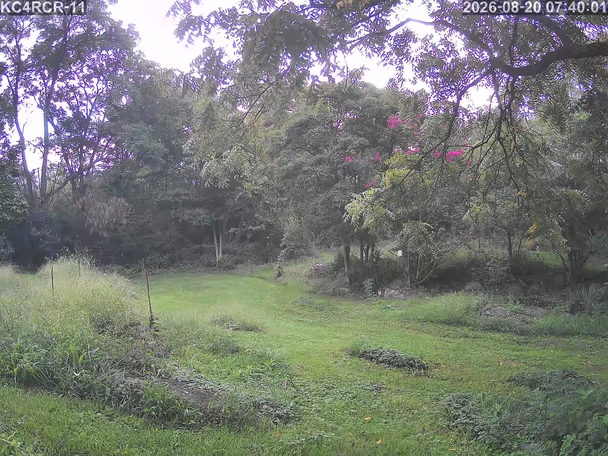 Outside camera view