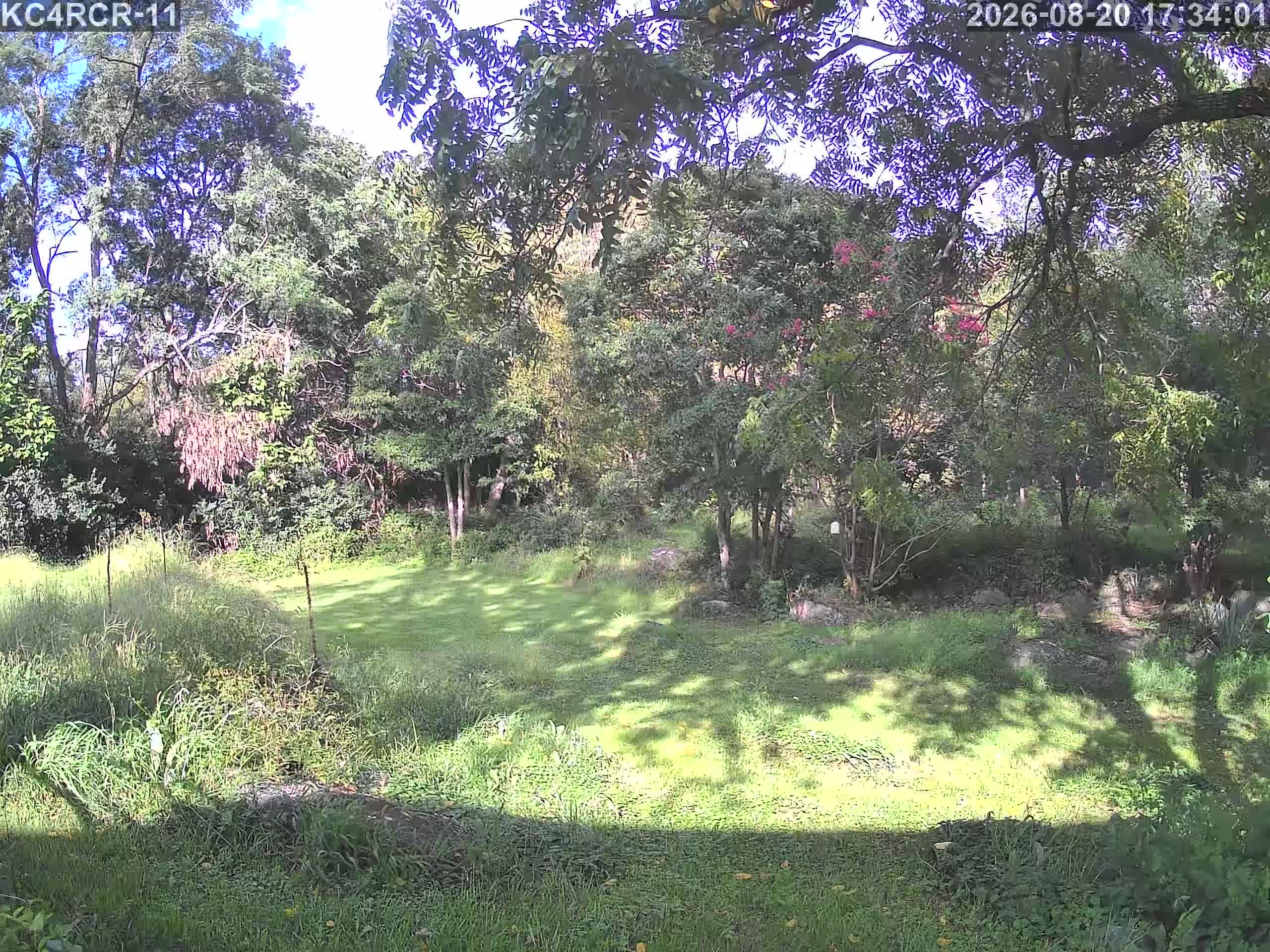 Outside camera view
