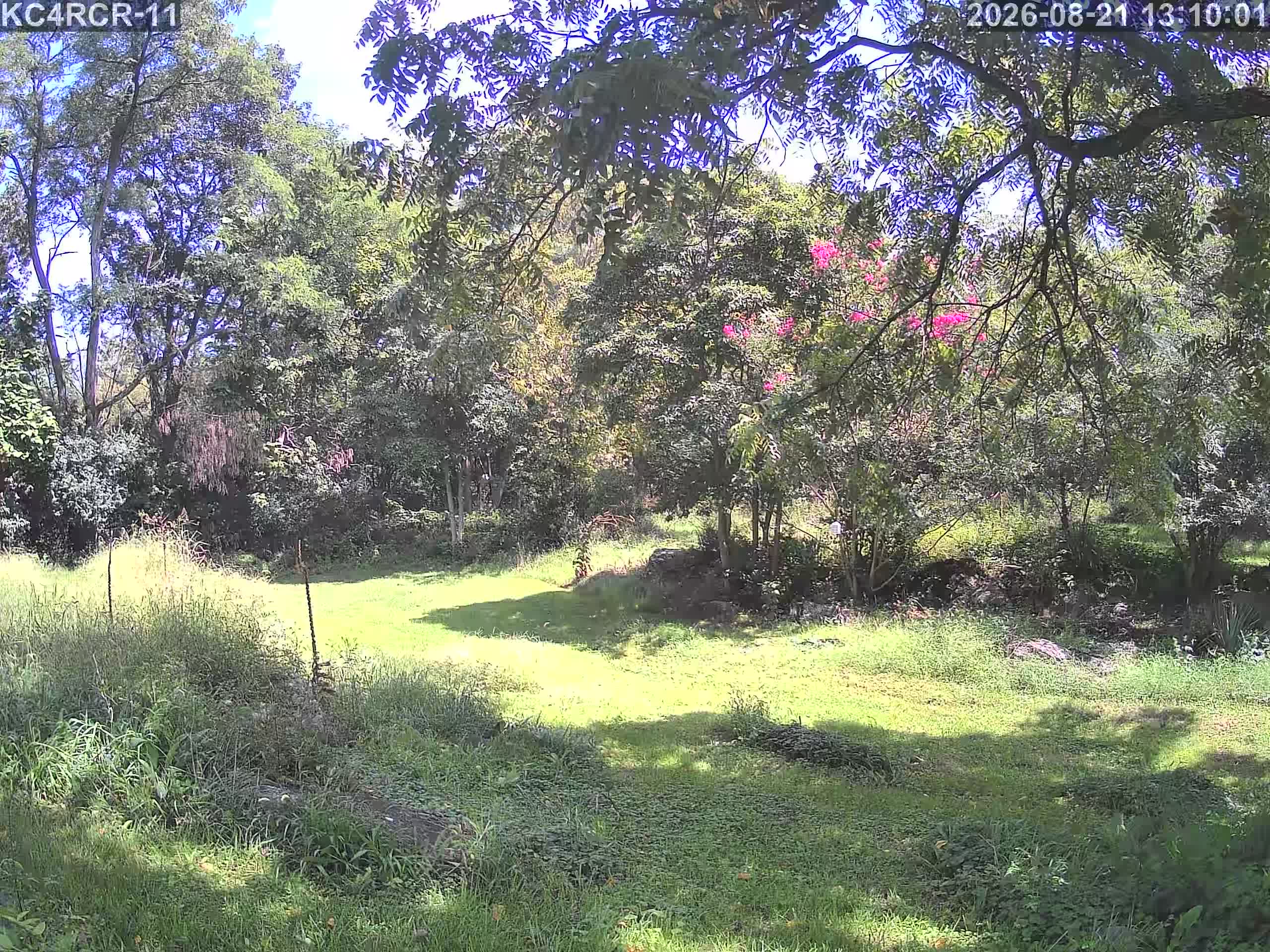 Outside camera view