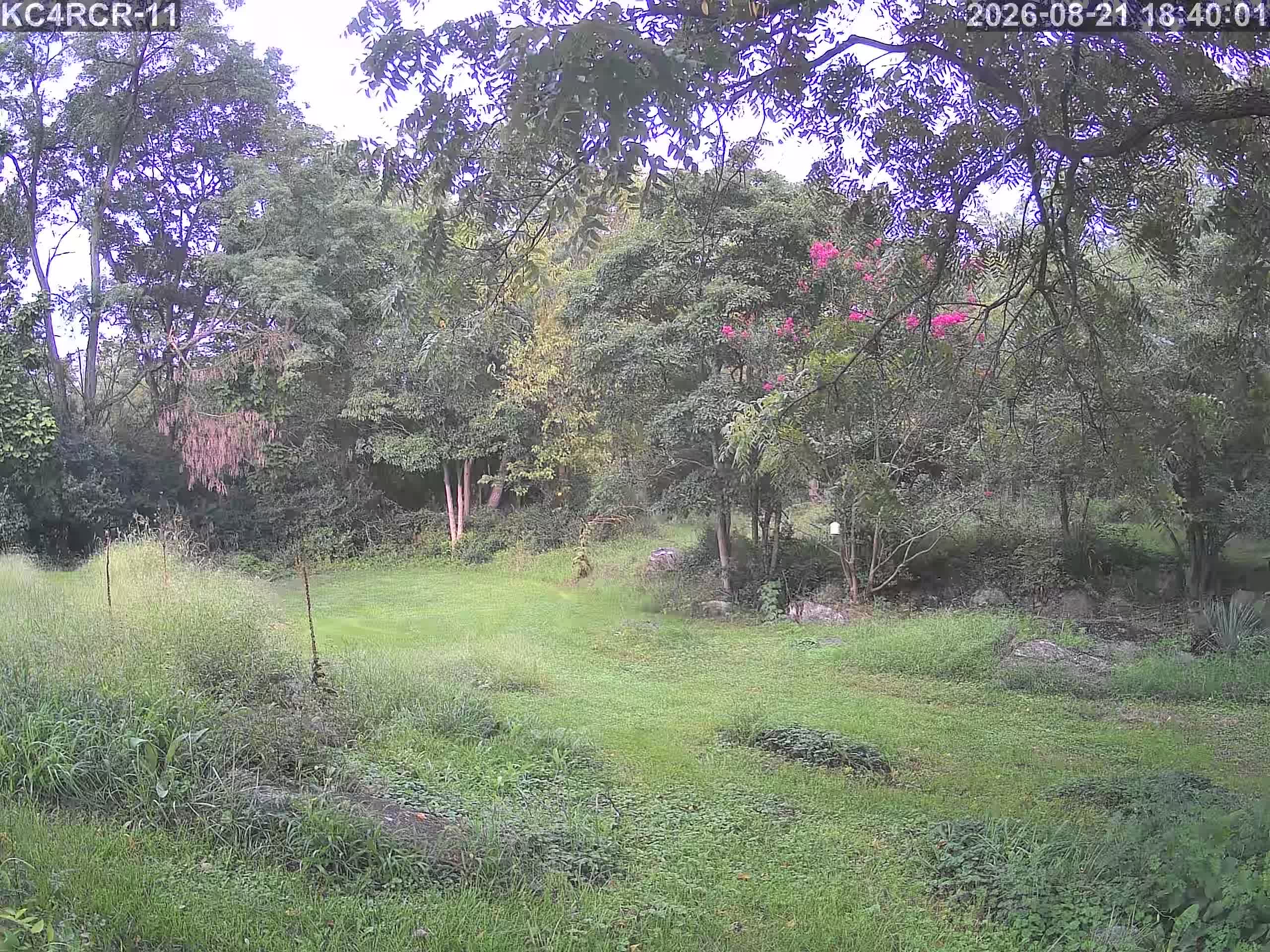 Outside camera view