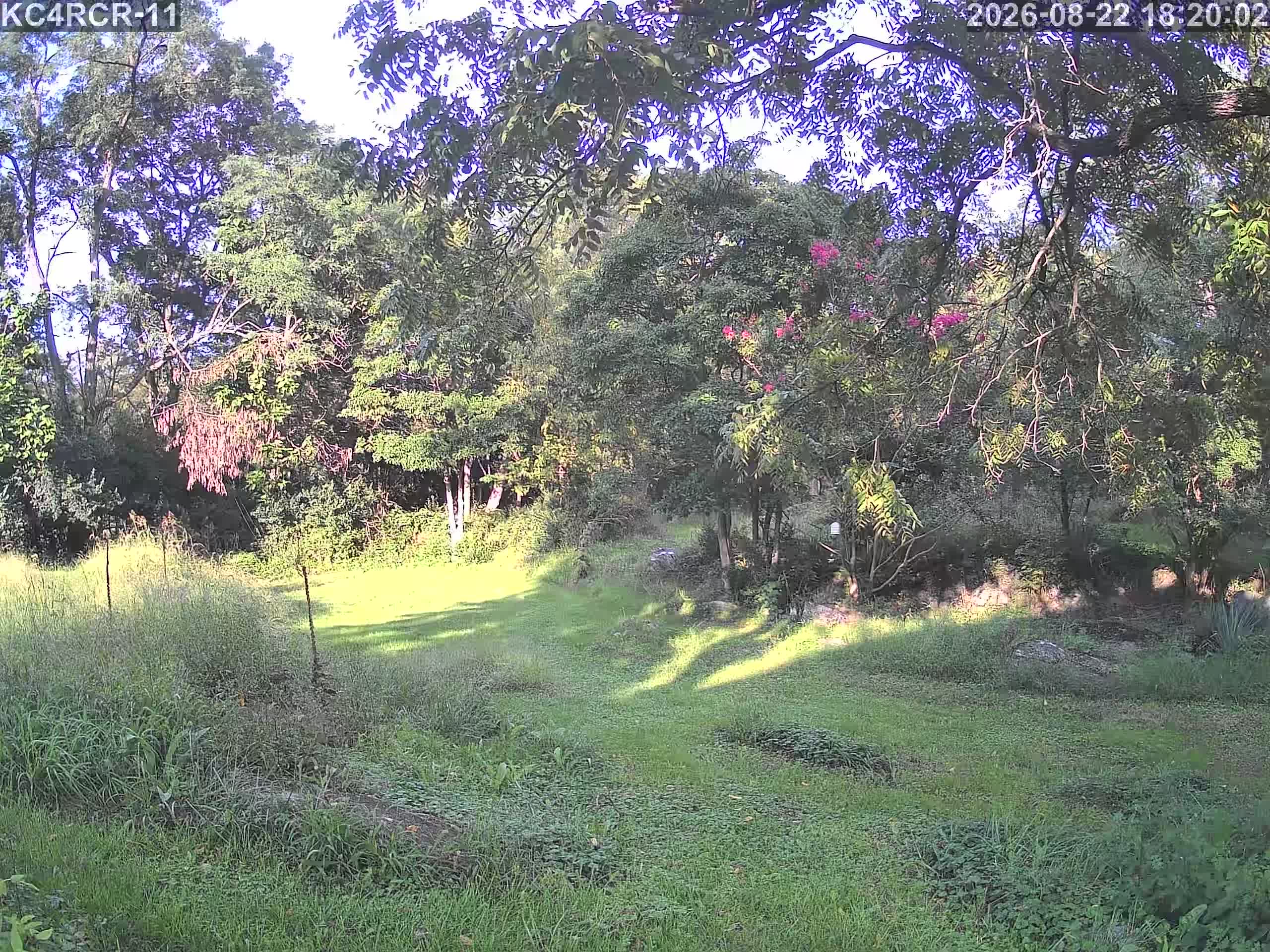 Outside camera view