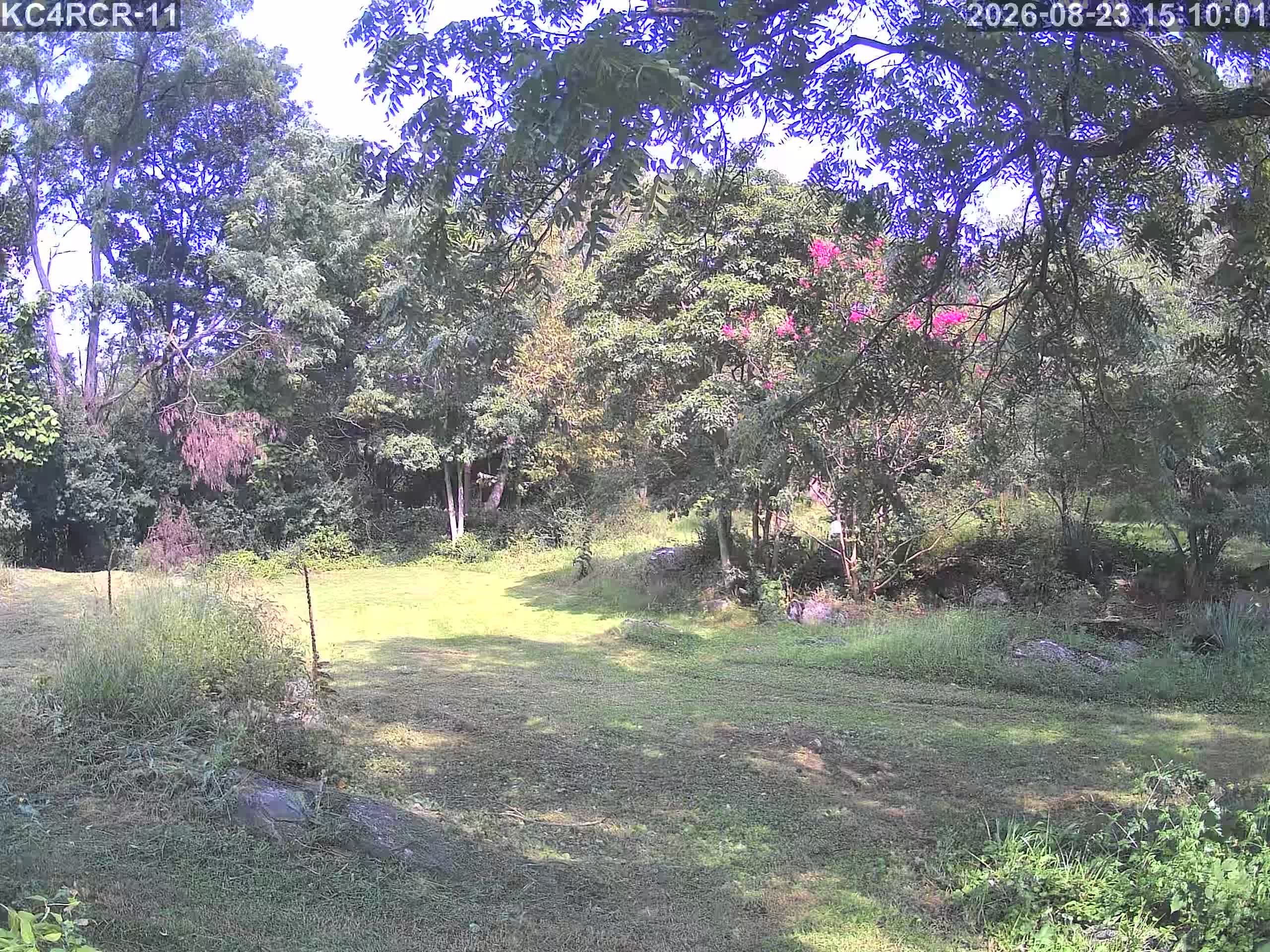 Outside camera view