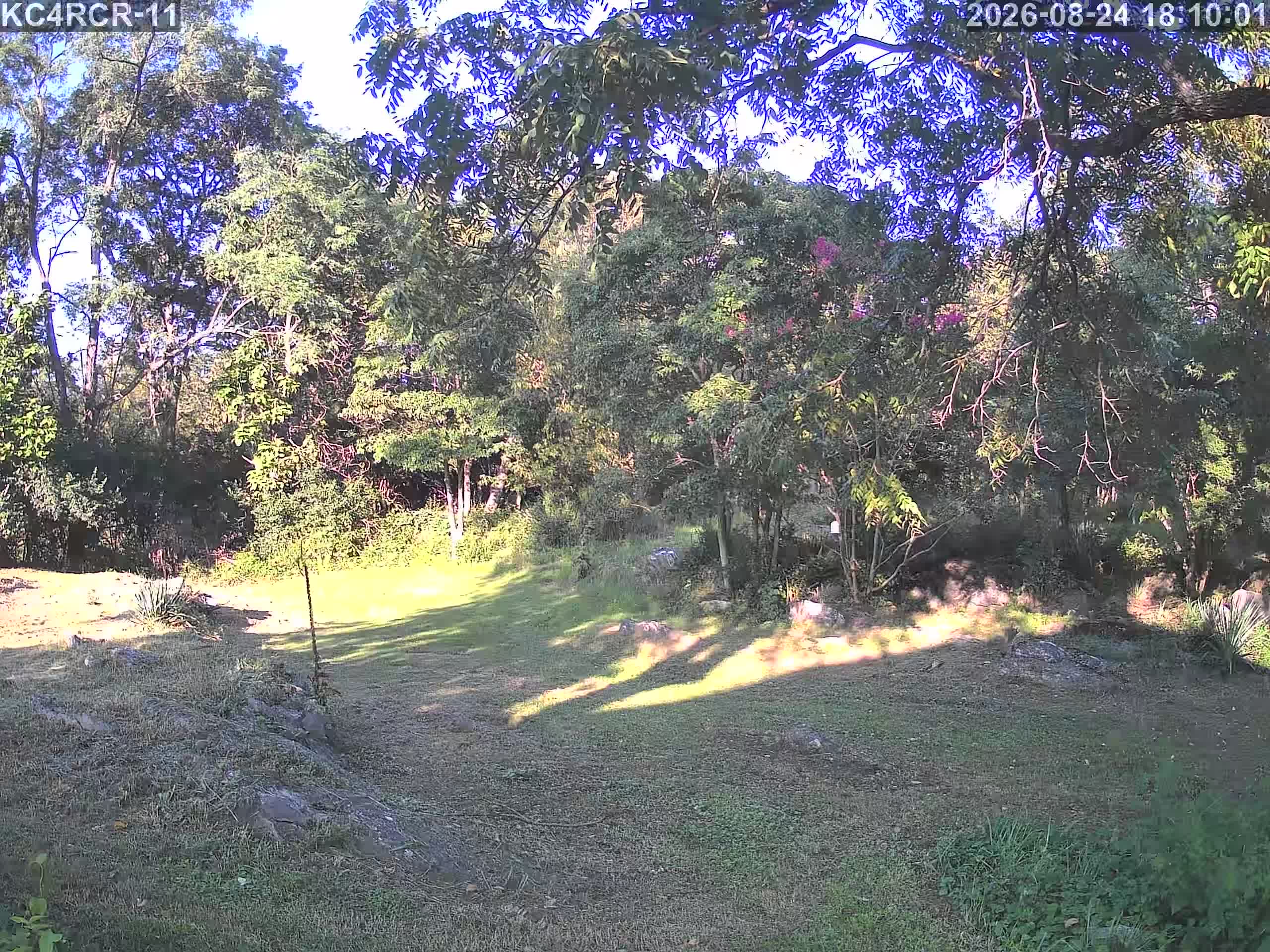 Outside camera view
