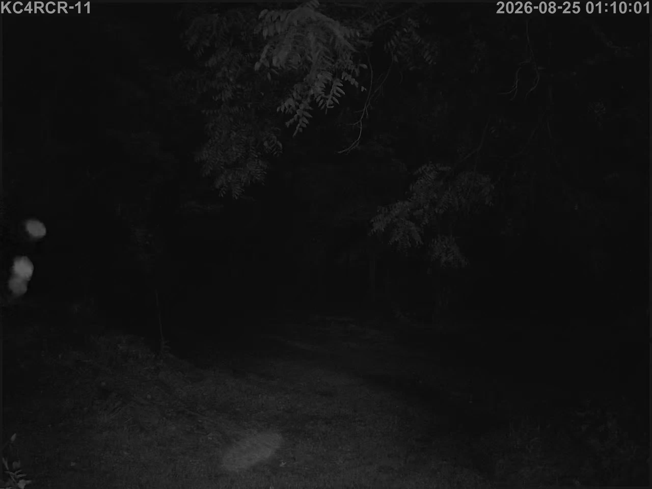 Outside camera view
