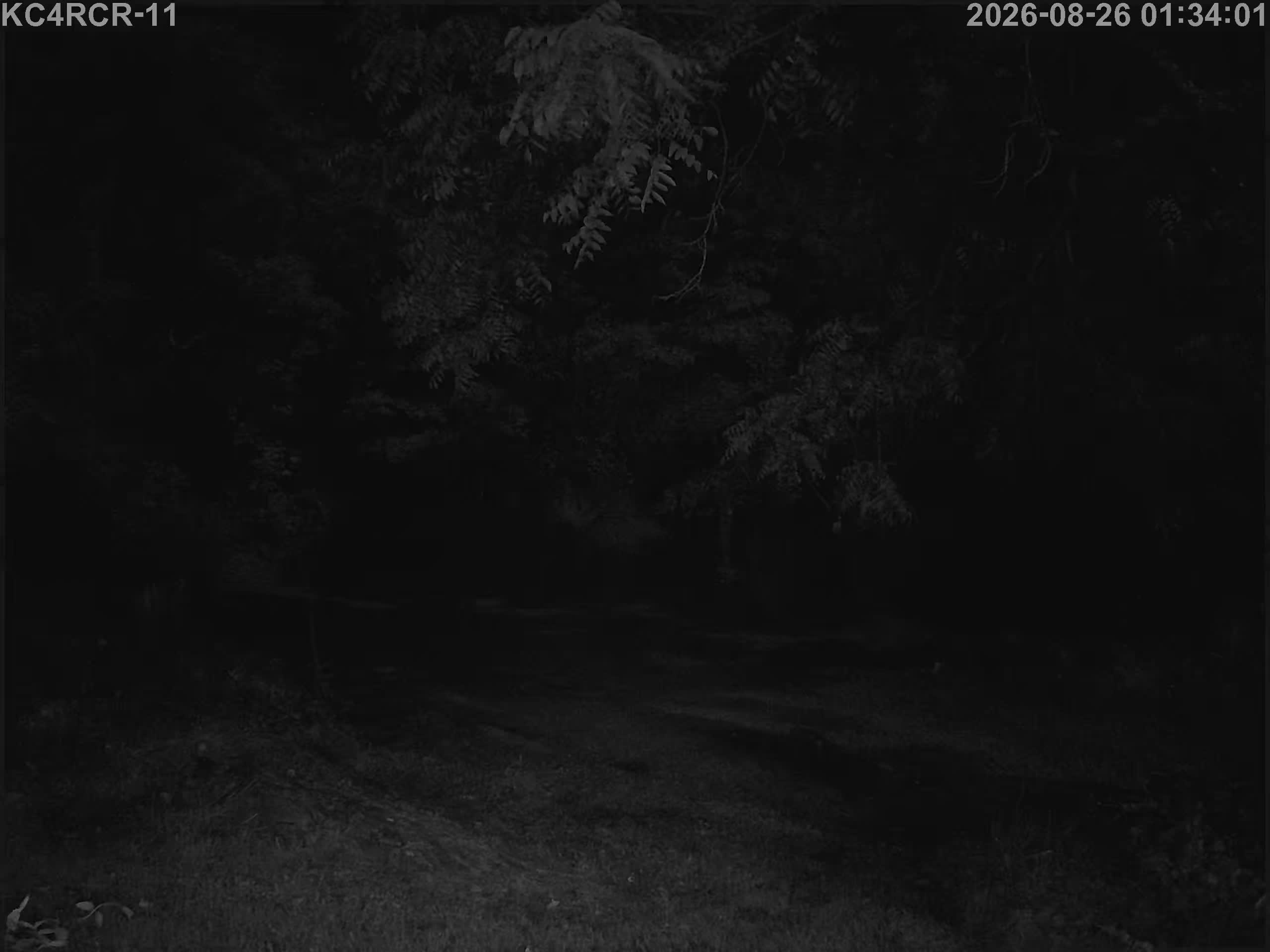 Outside camera view