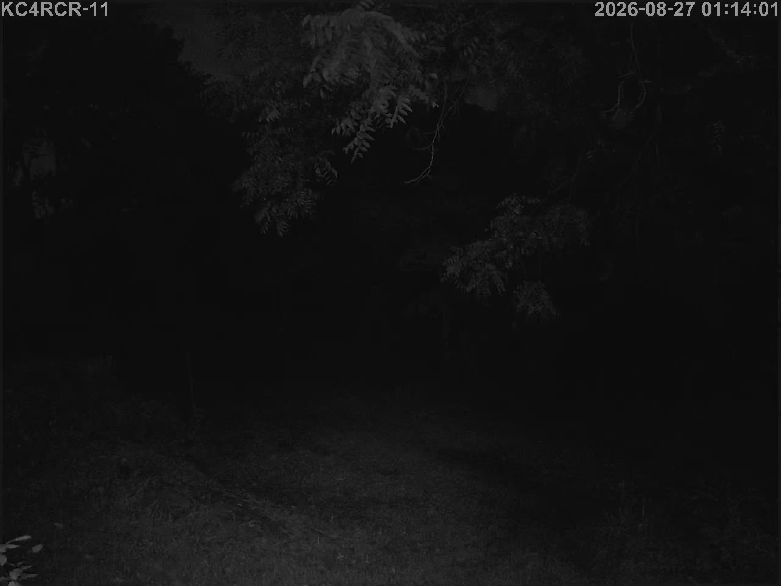 Outside camera view