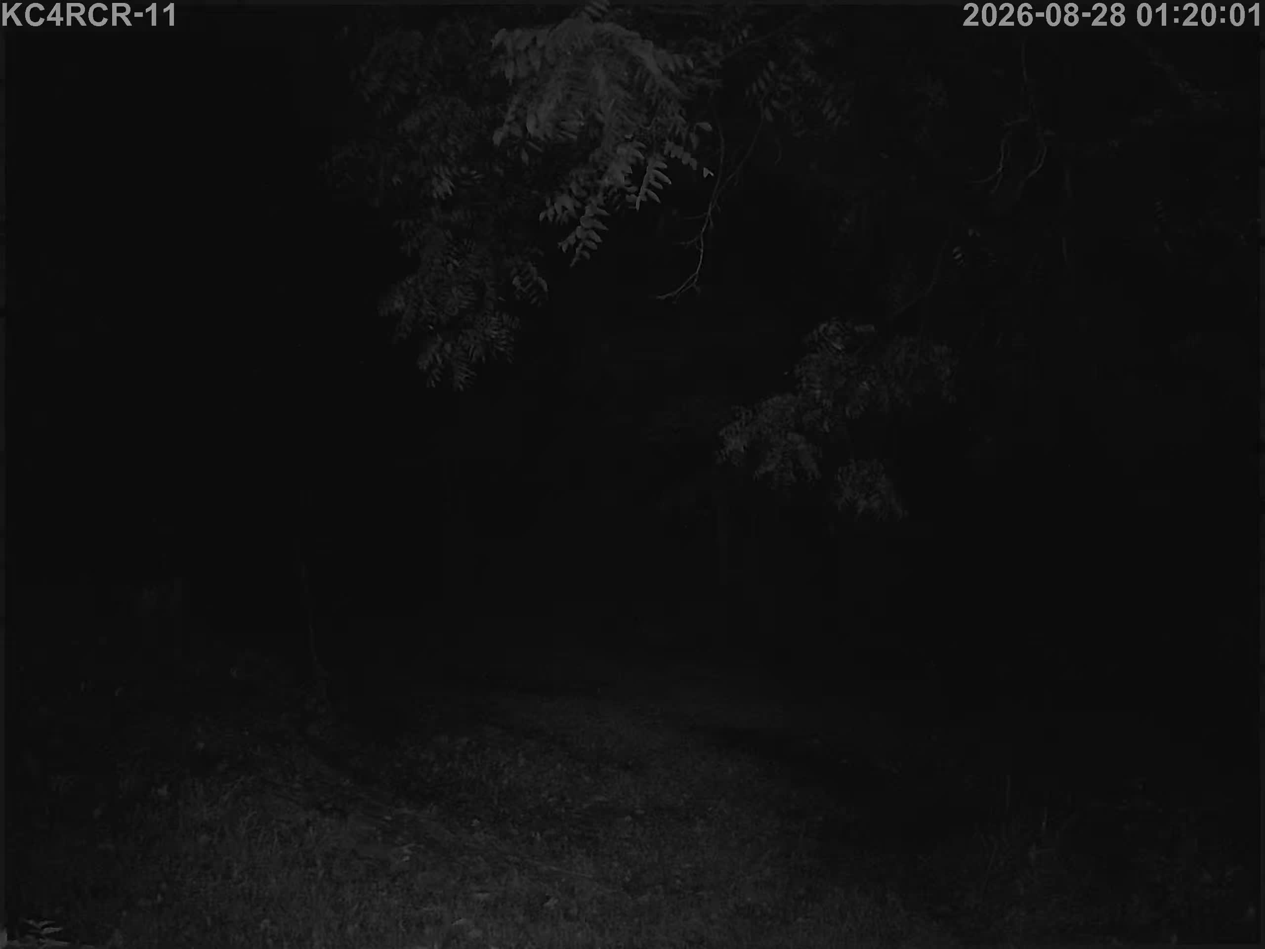 Outside camera view