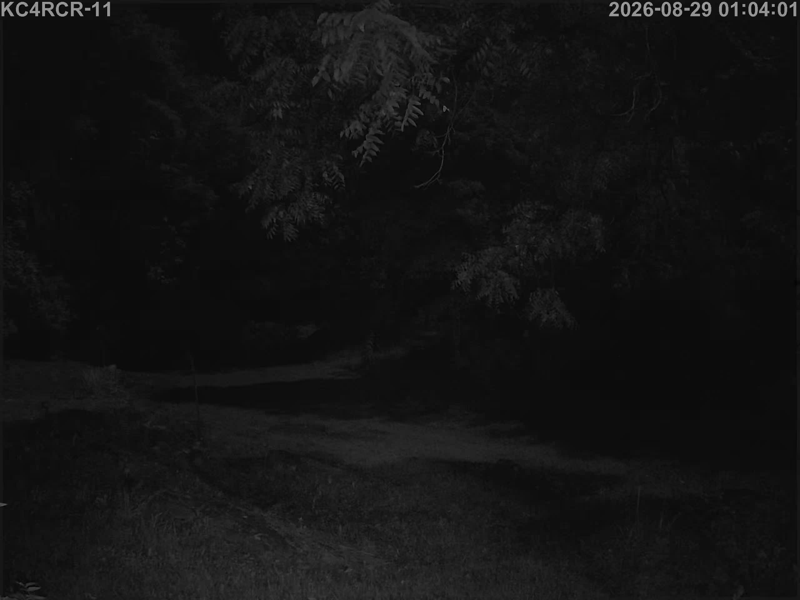 Outside camera view