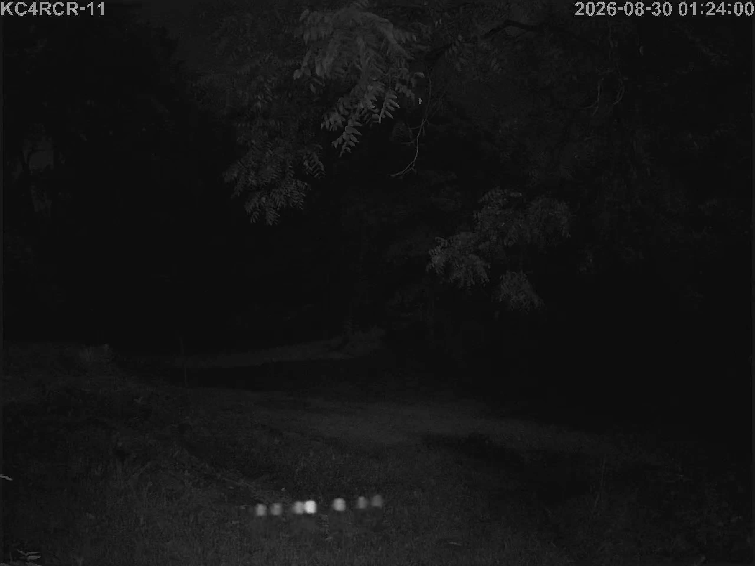 Outside camera view