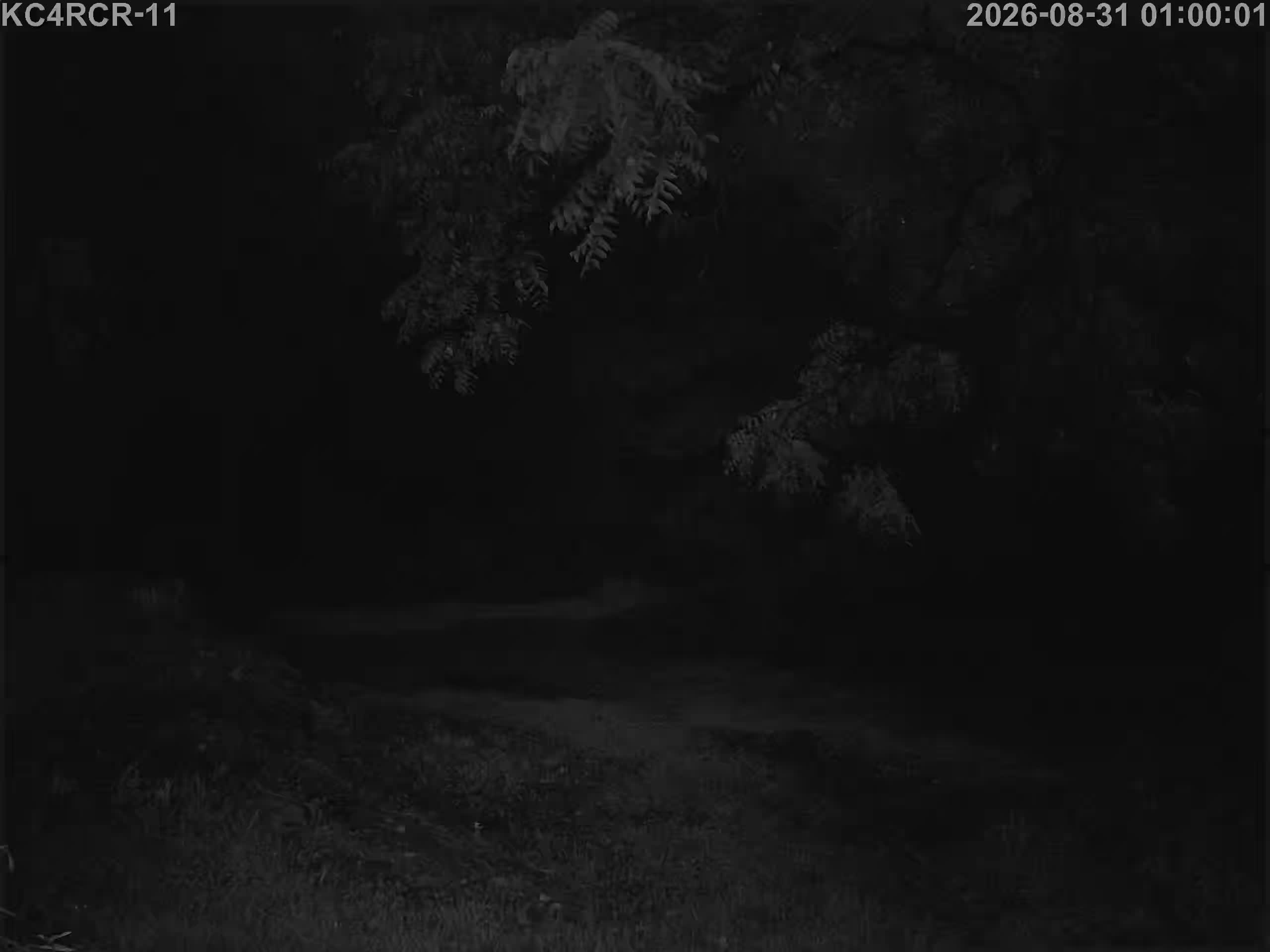 Outside camera view