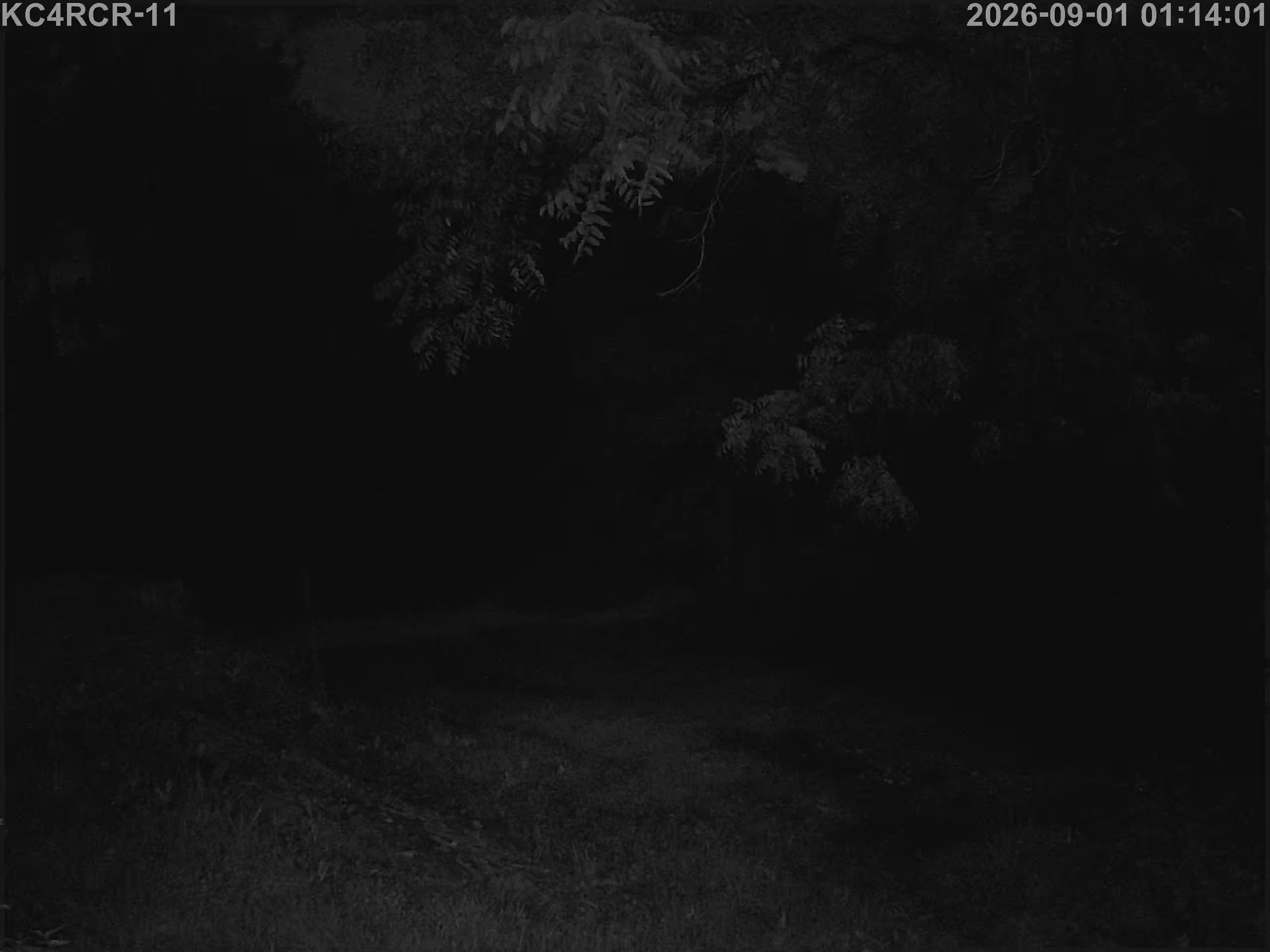 Outside camera view