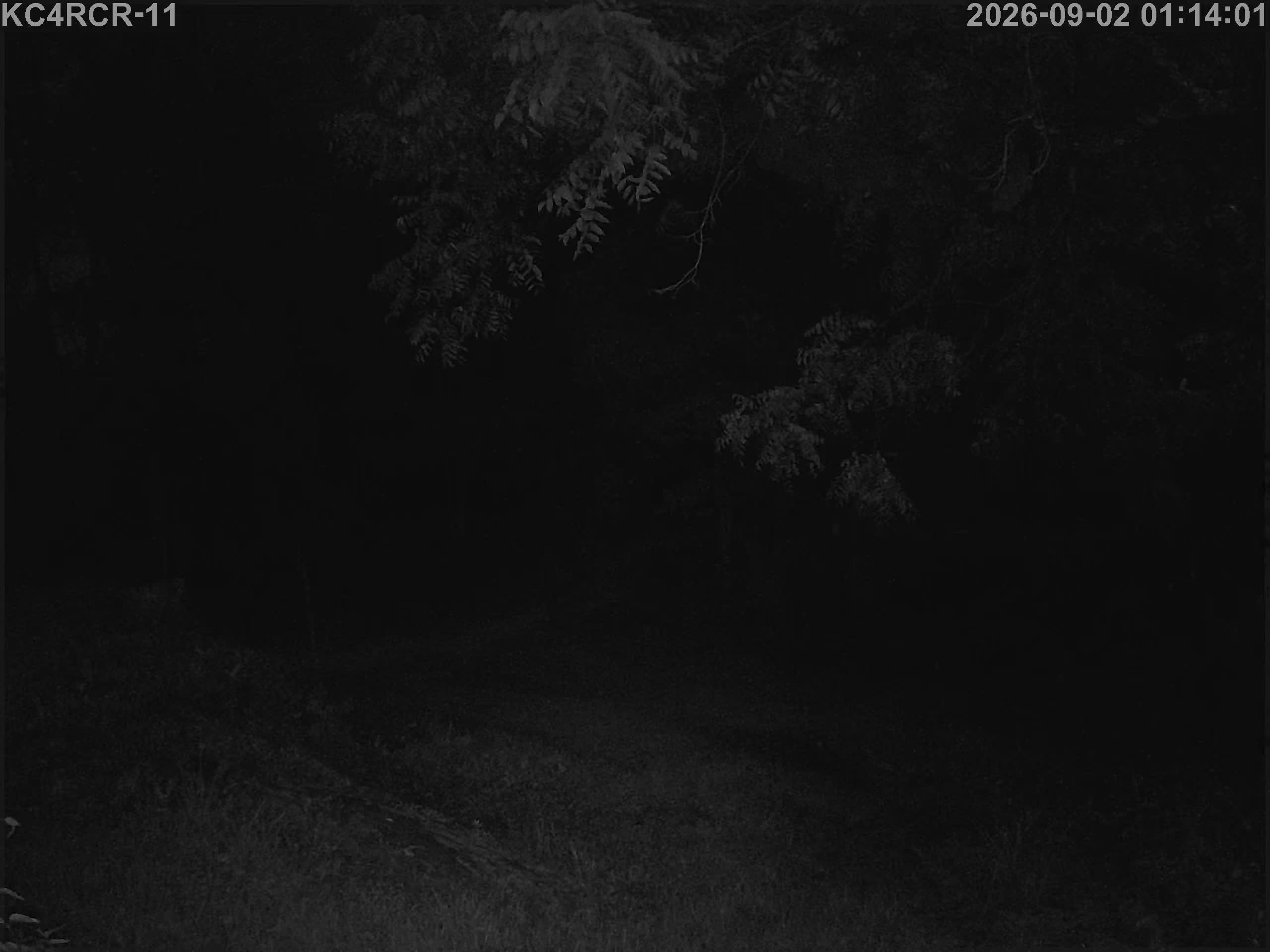 Outside camera view