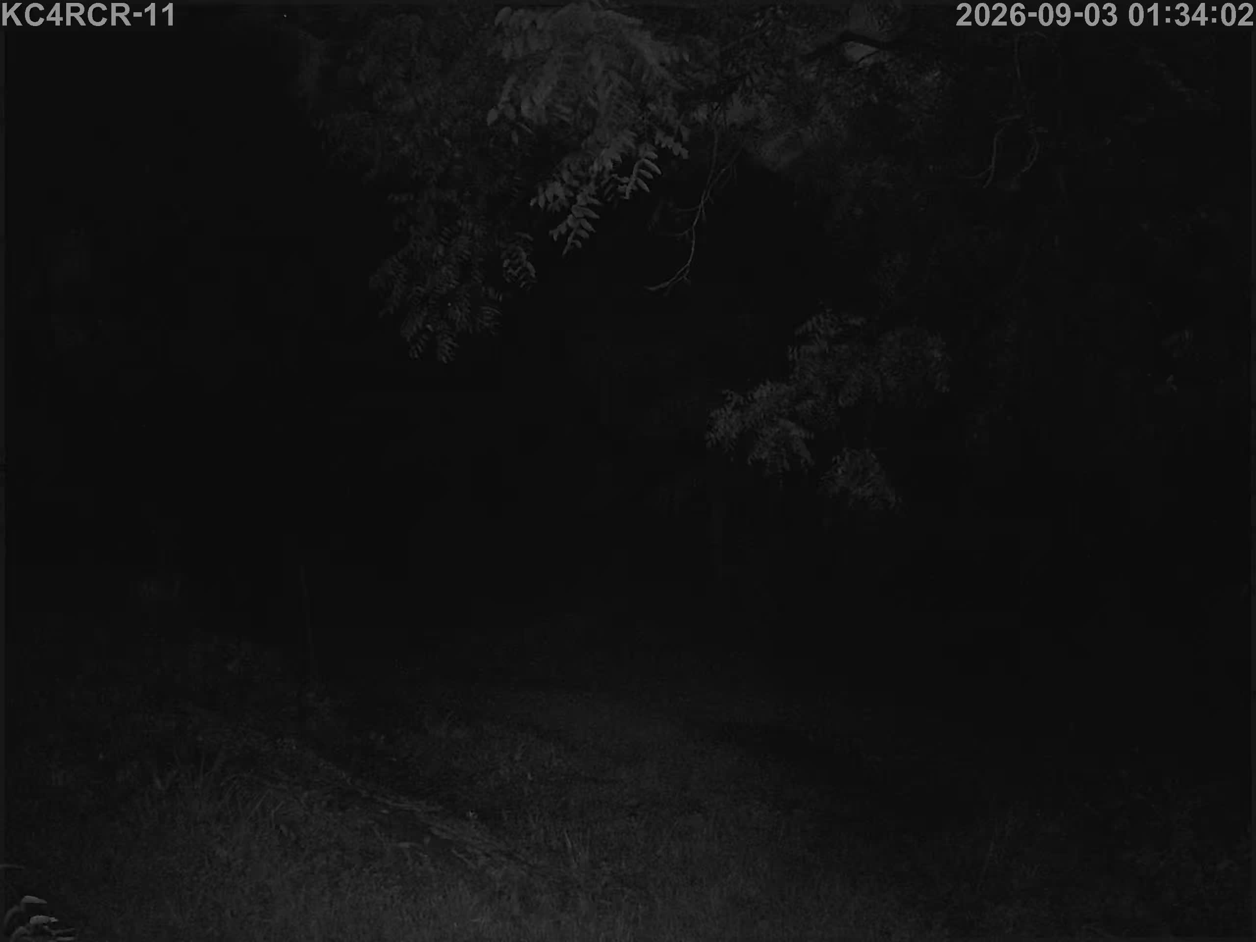 Outside camera view