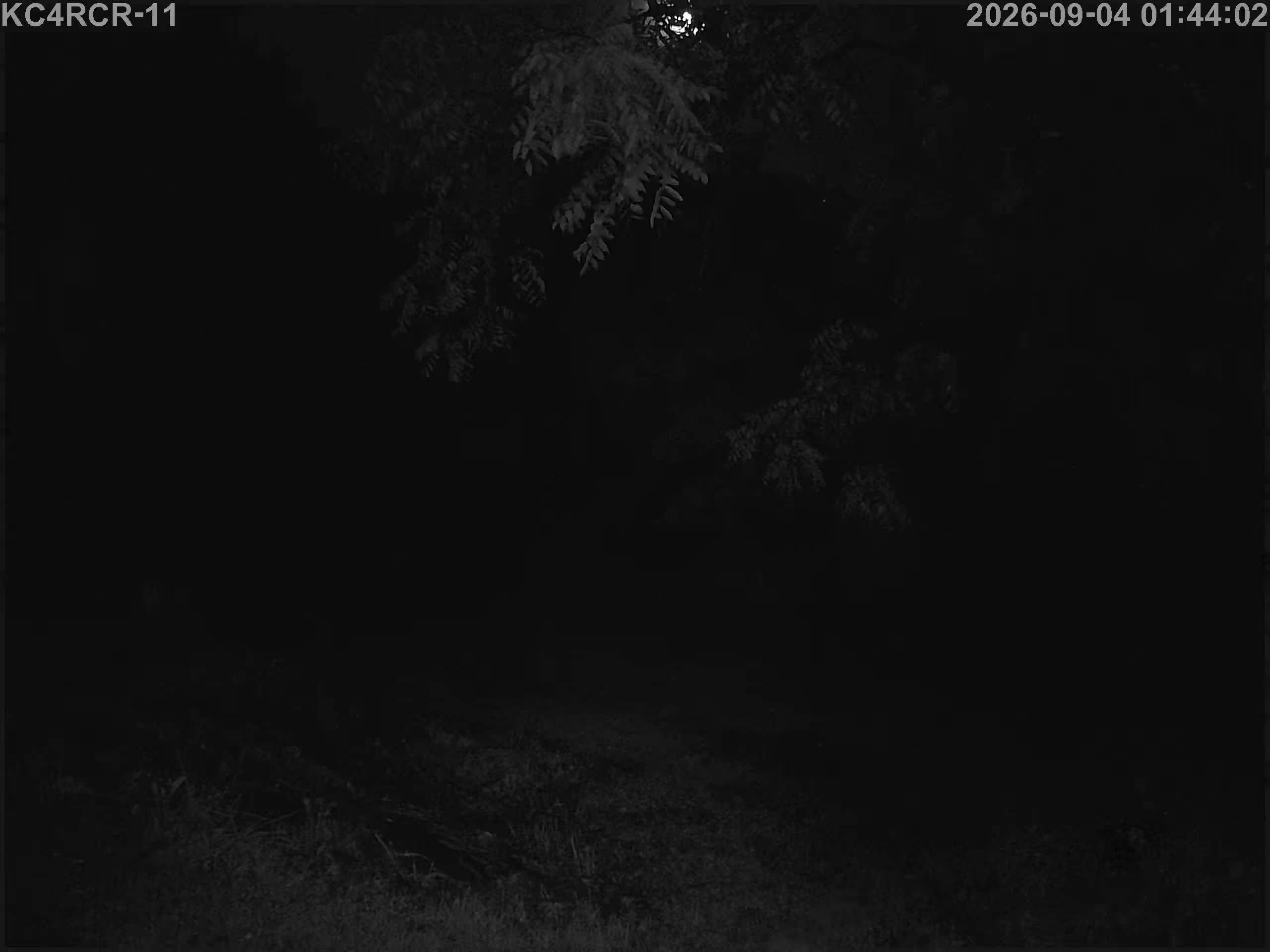 Outside camera view
