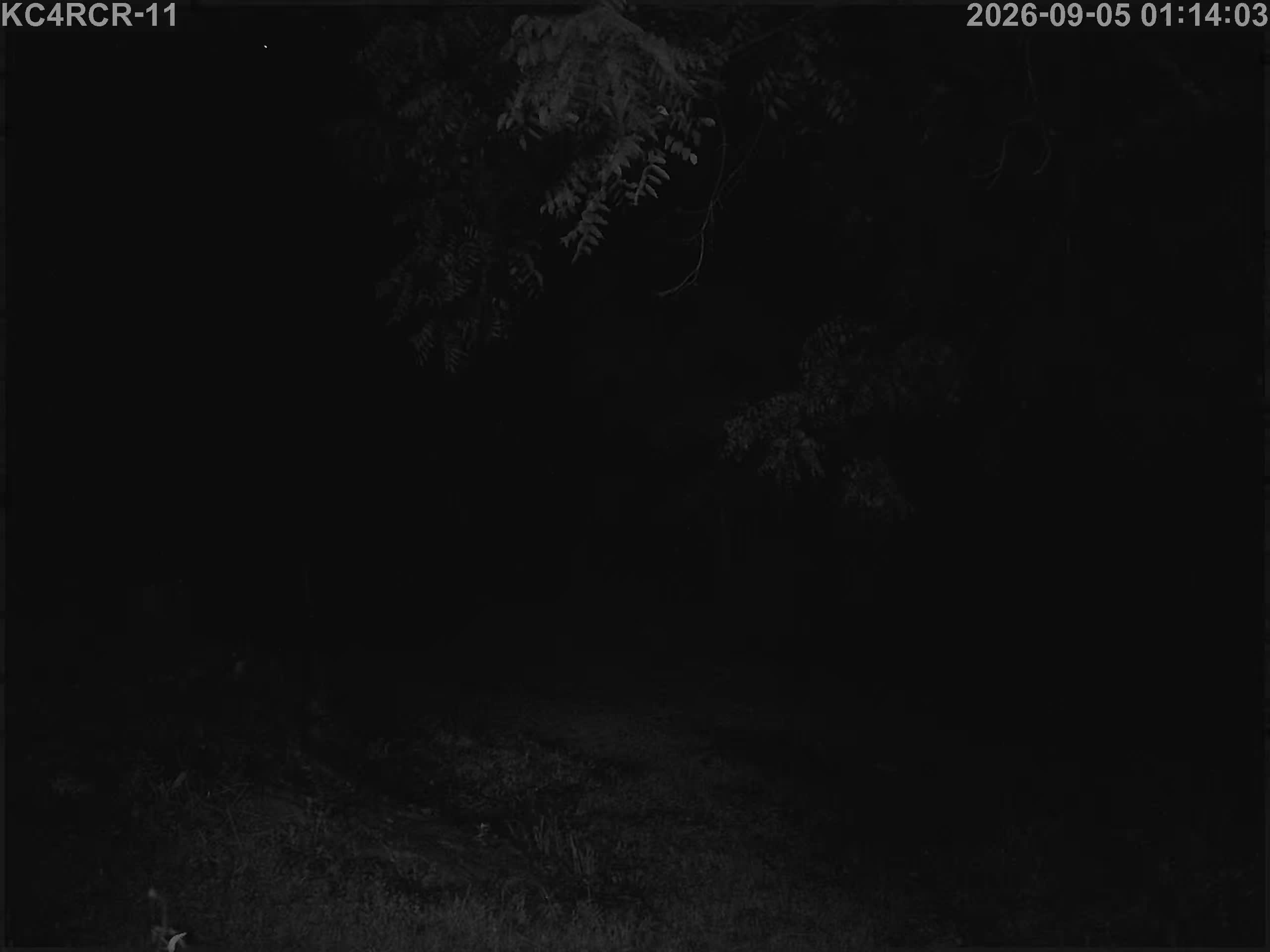 Outside camera view