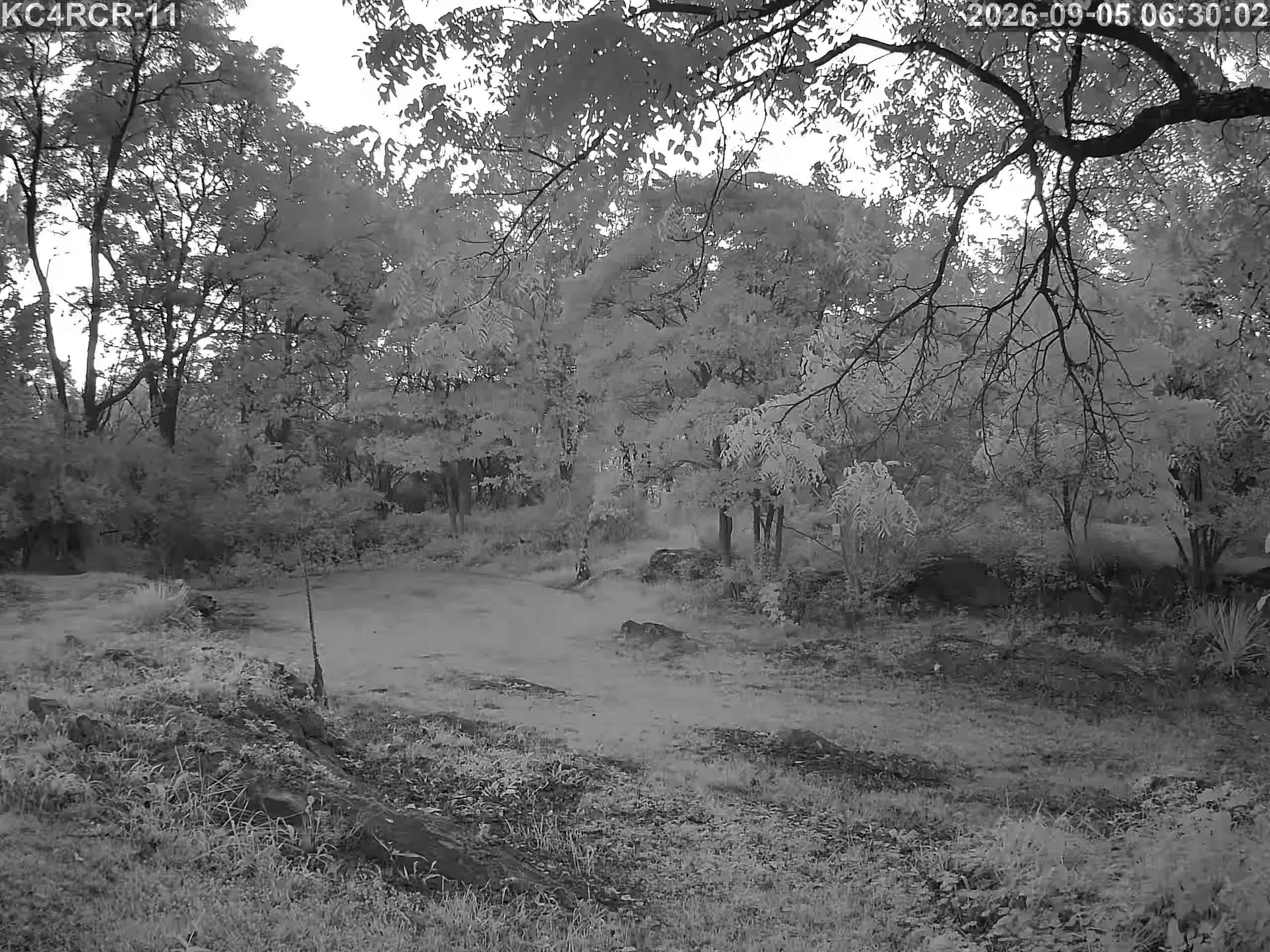 Outside camera view