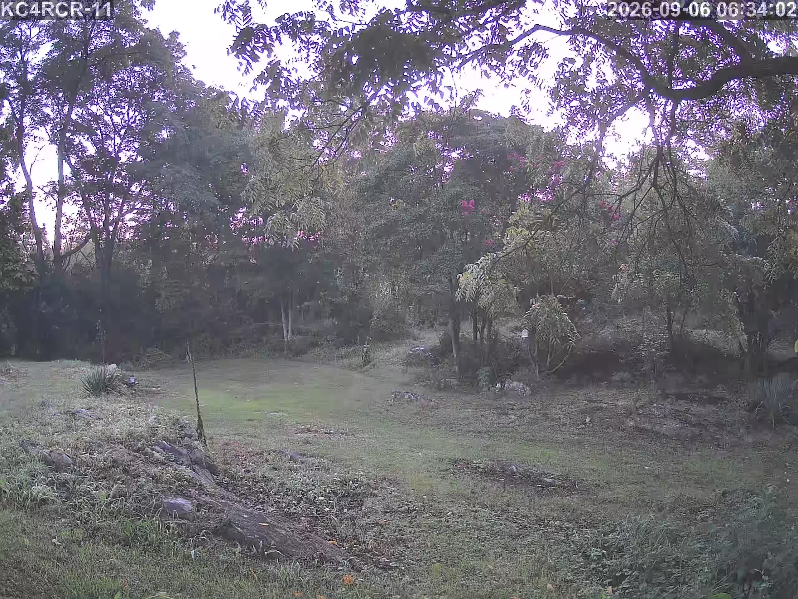 Outside camera view