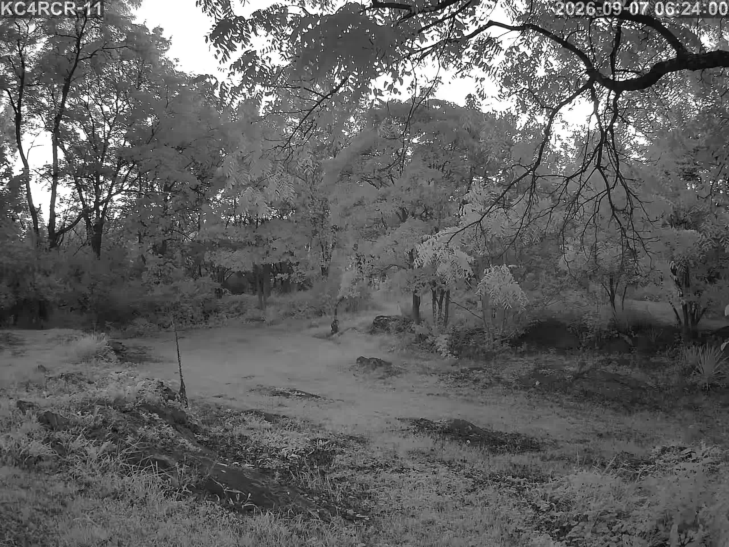 Outside camera view