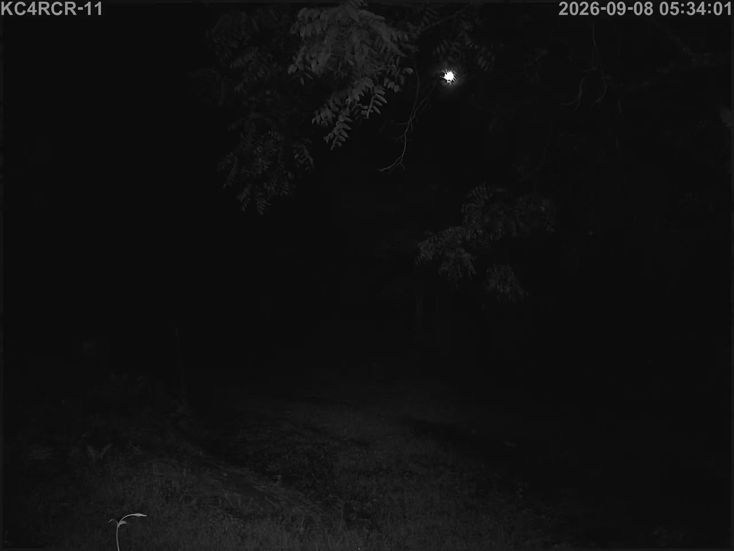 Outside camera view