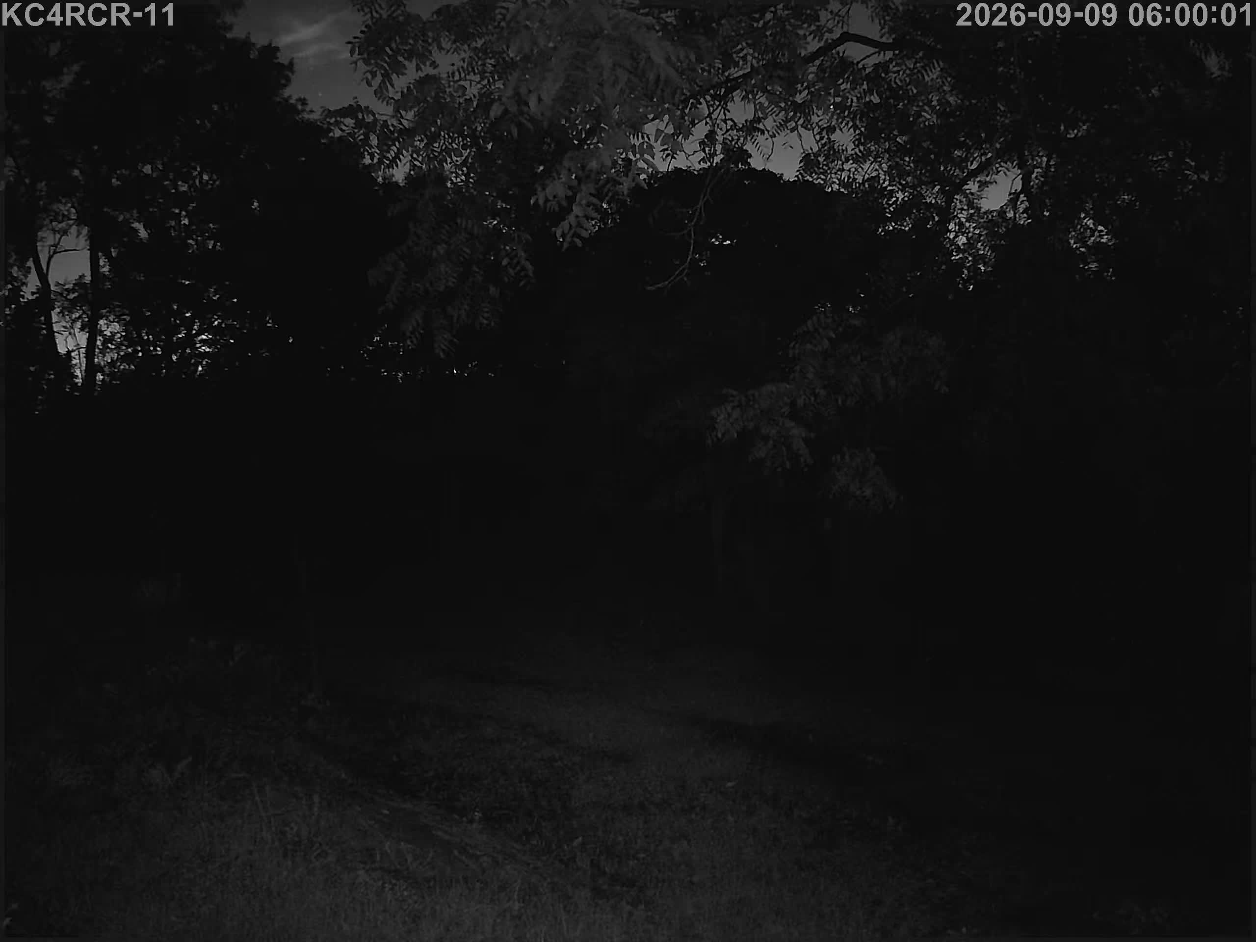 Outside camera view