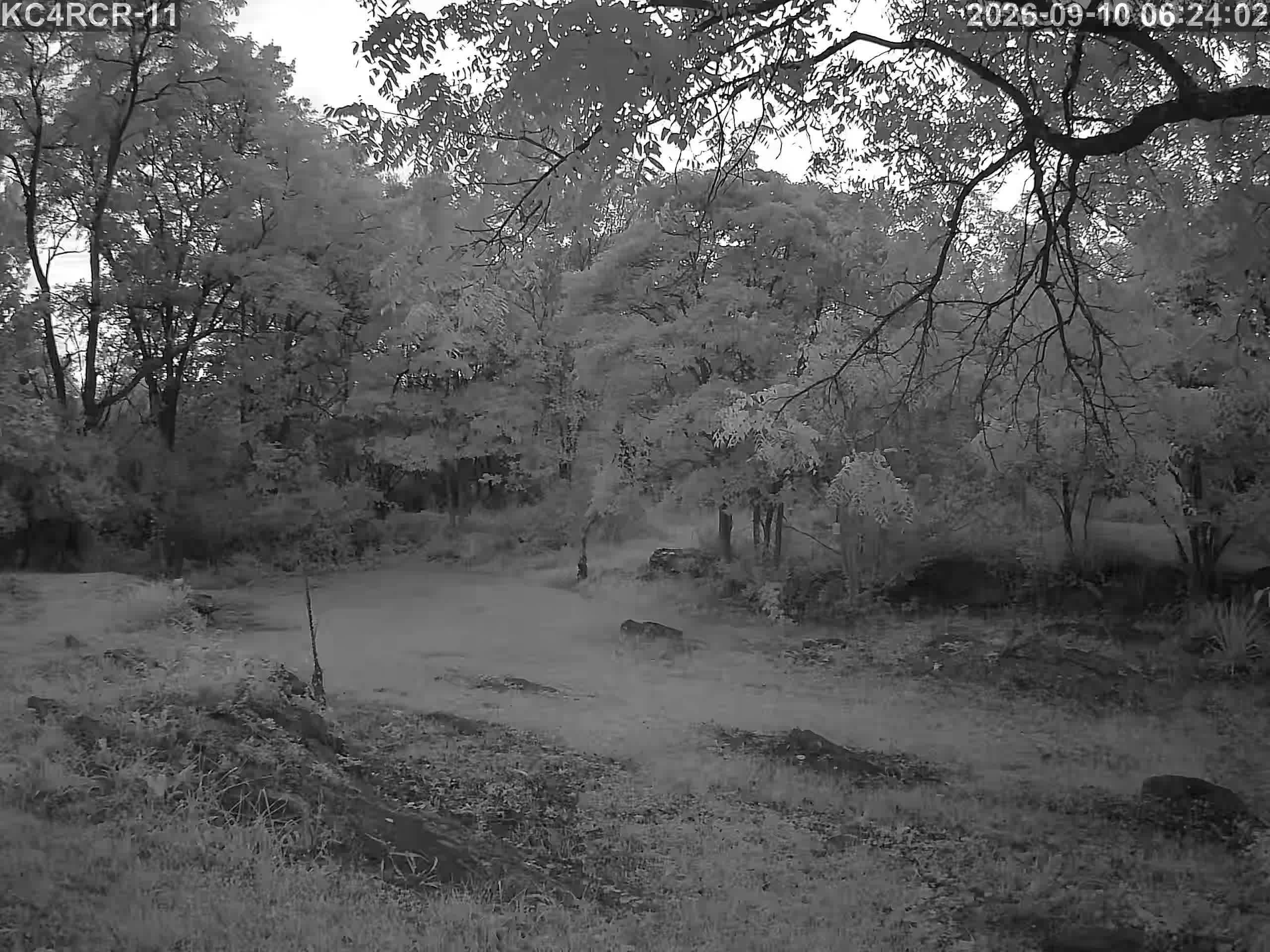 Outside camera view