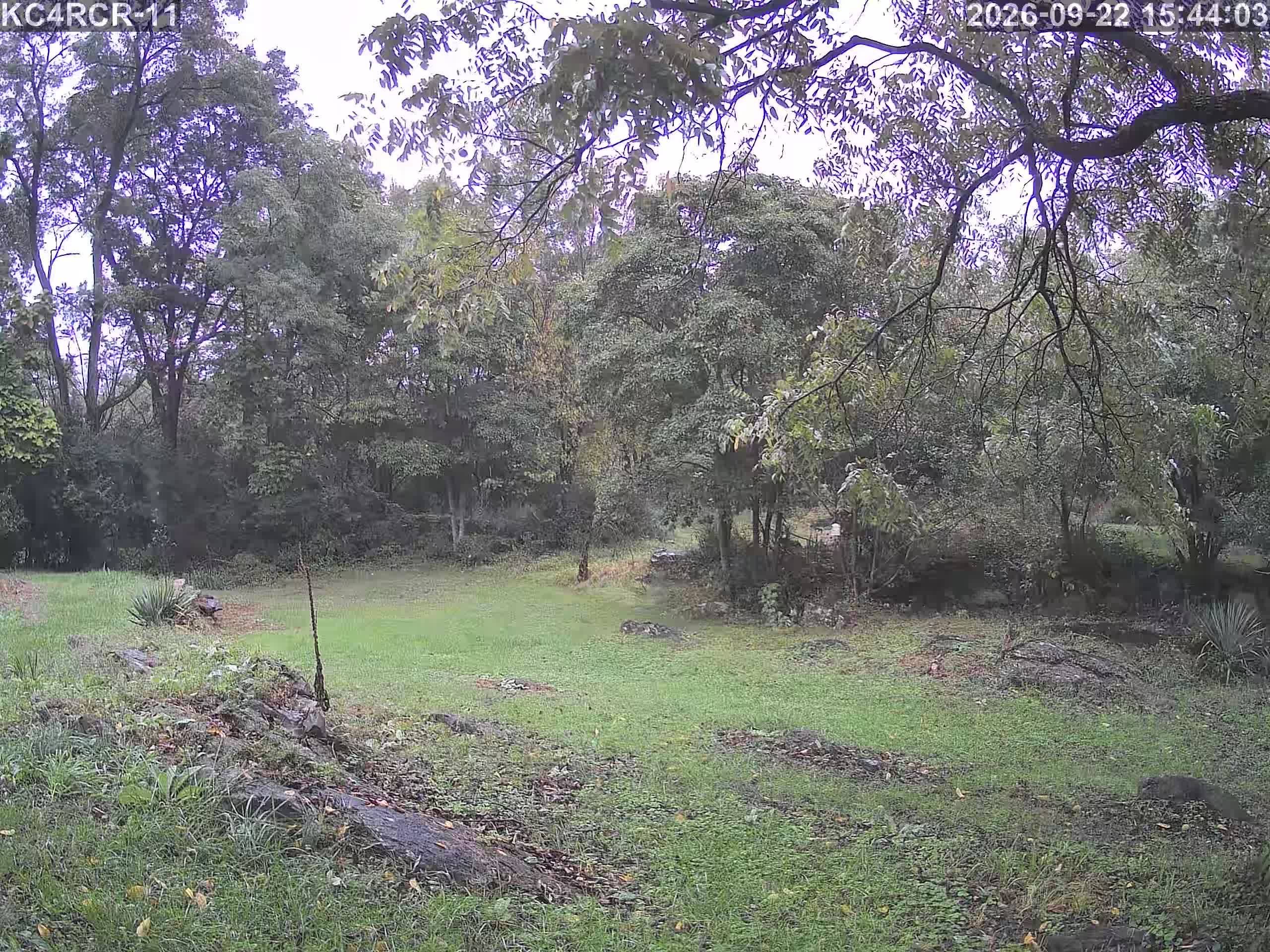 Outside camera view