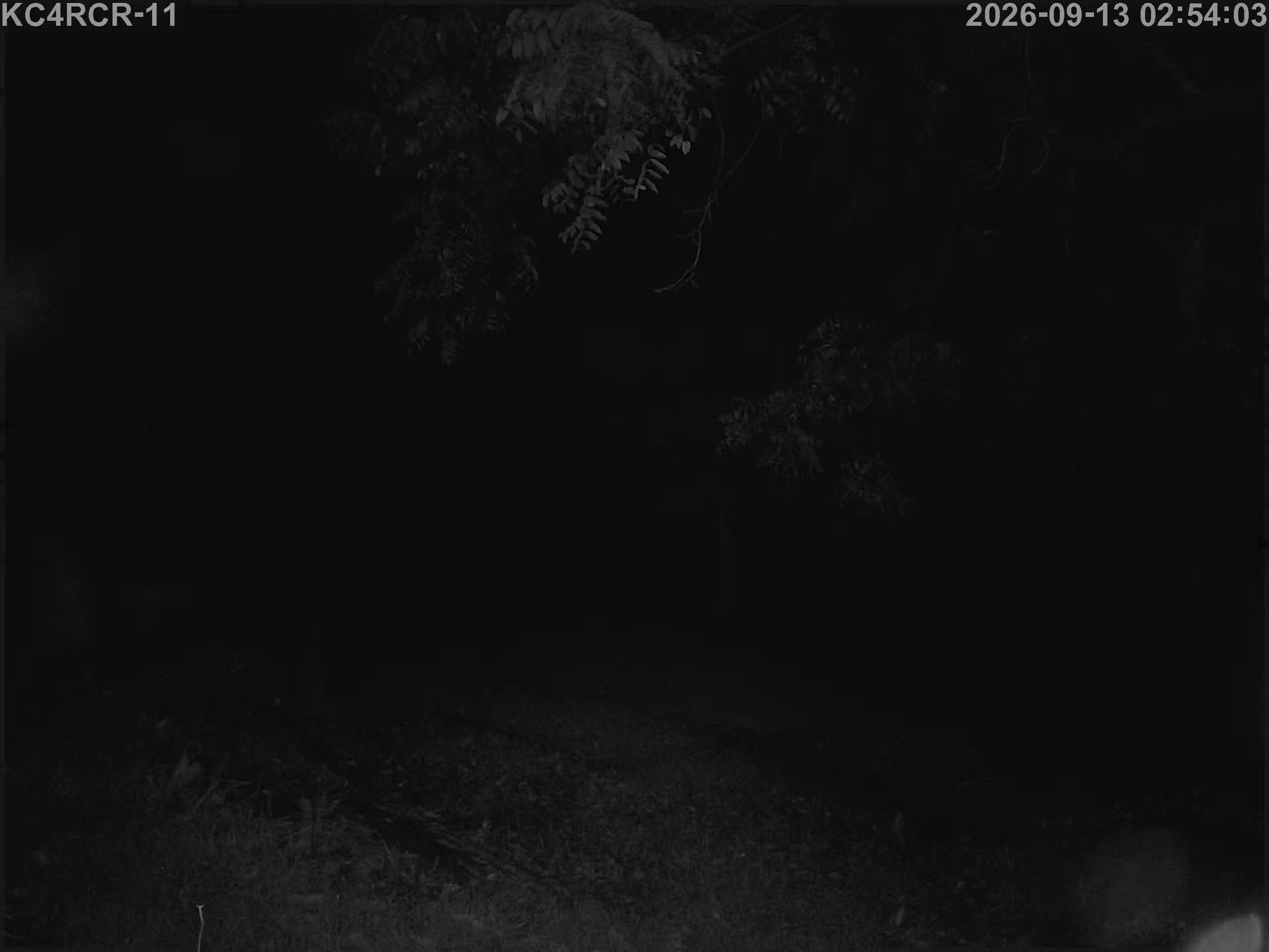 Outside camera view