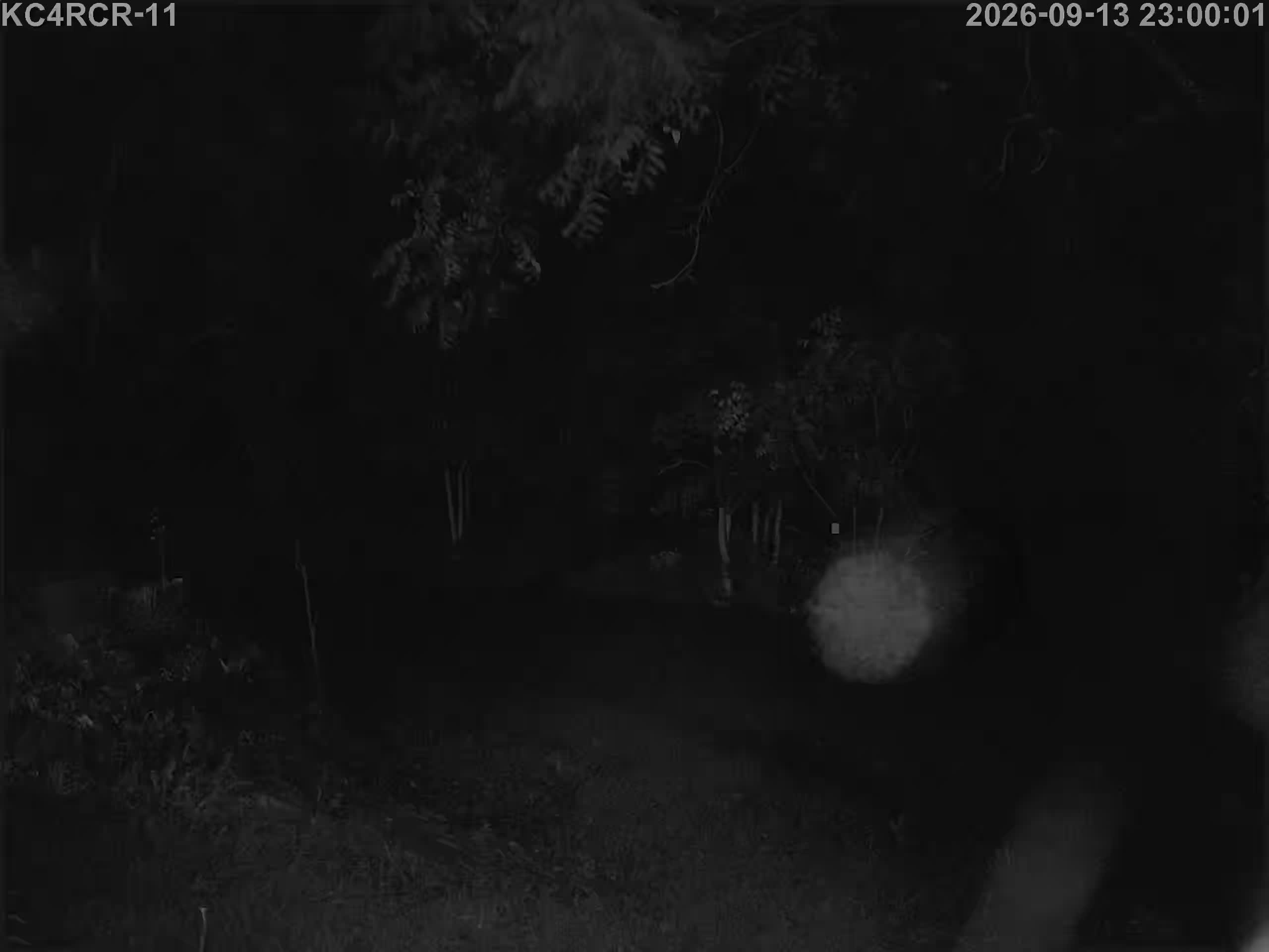 Outside camera view