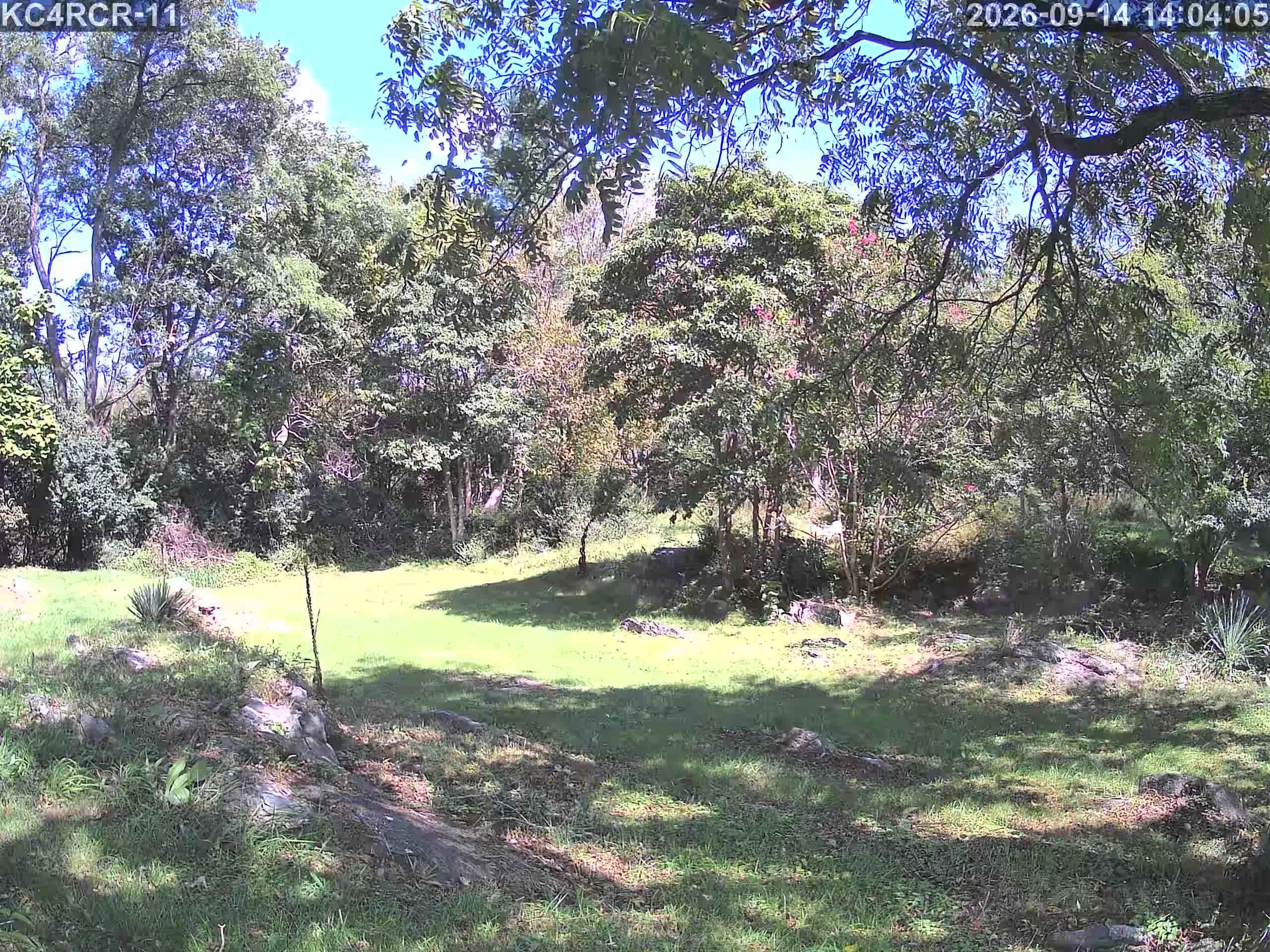 Outside camera view