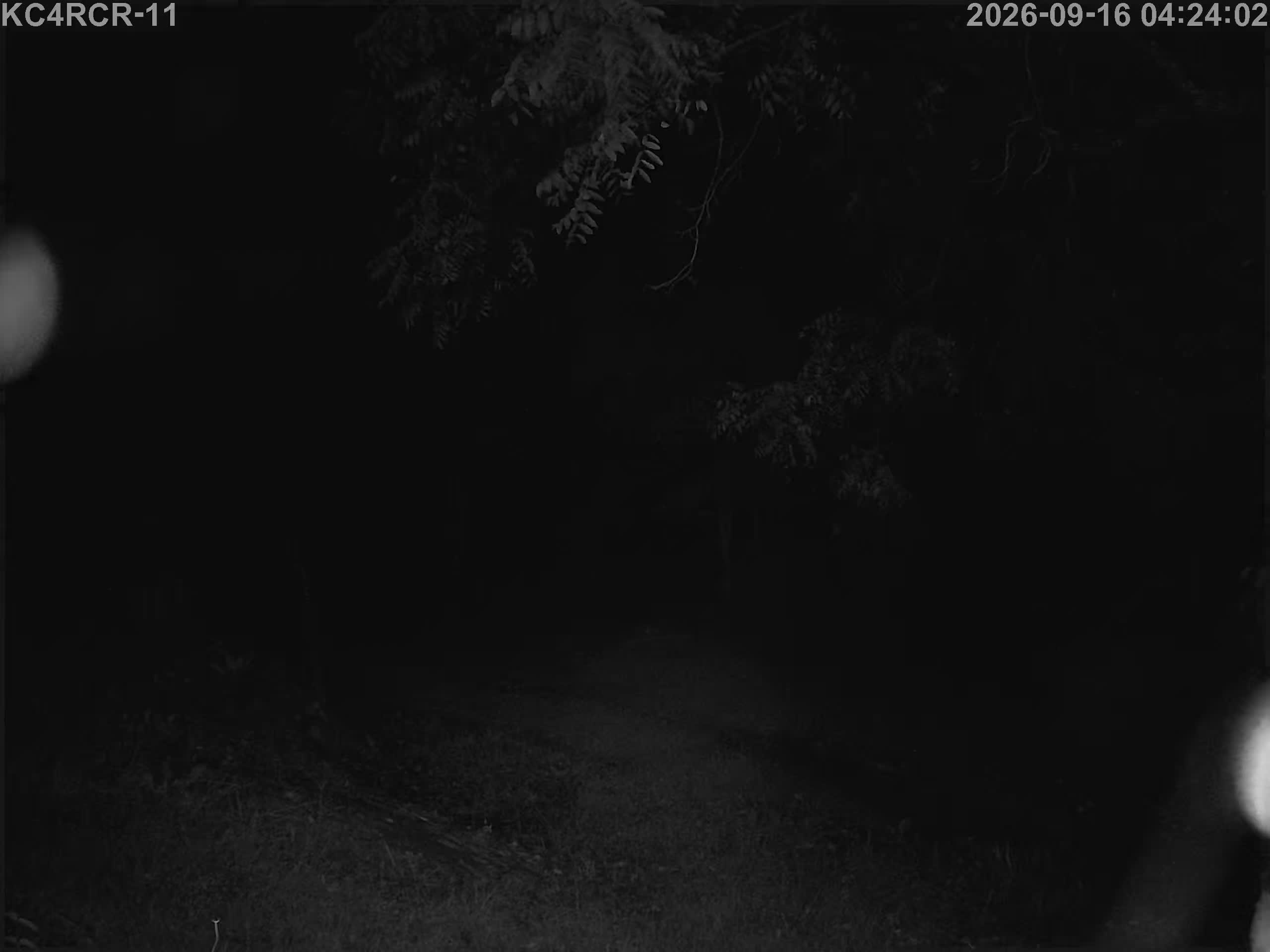 Outside camera view