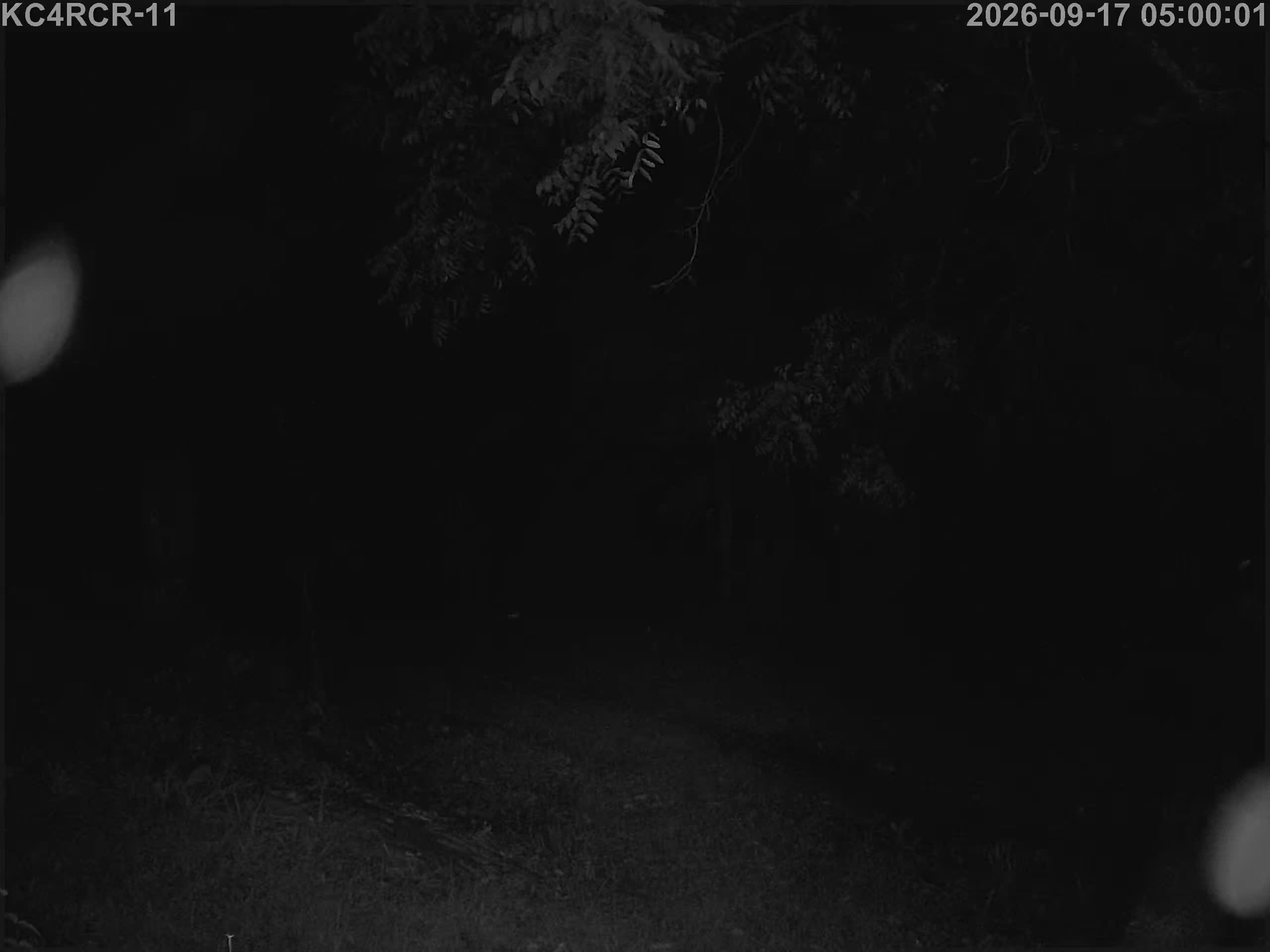 Outside camera view