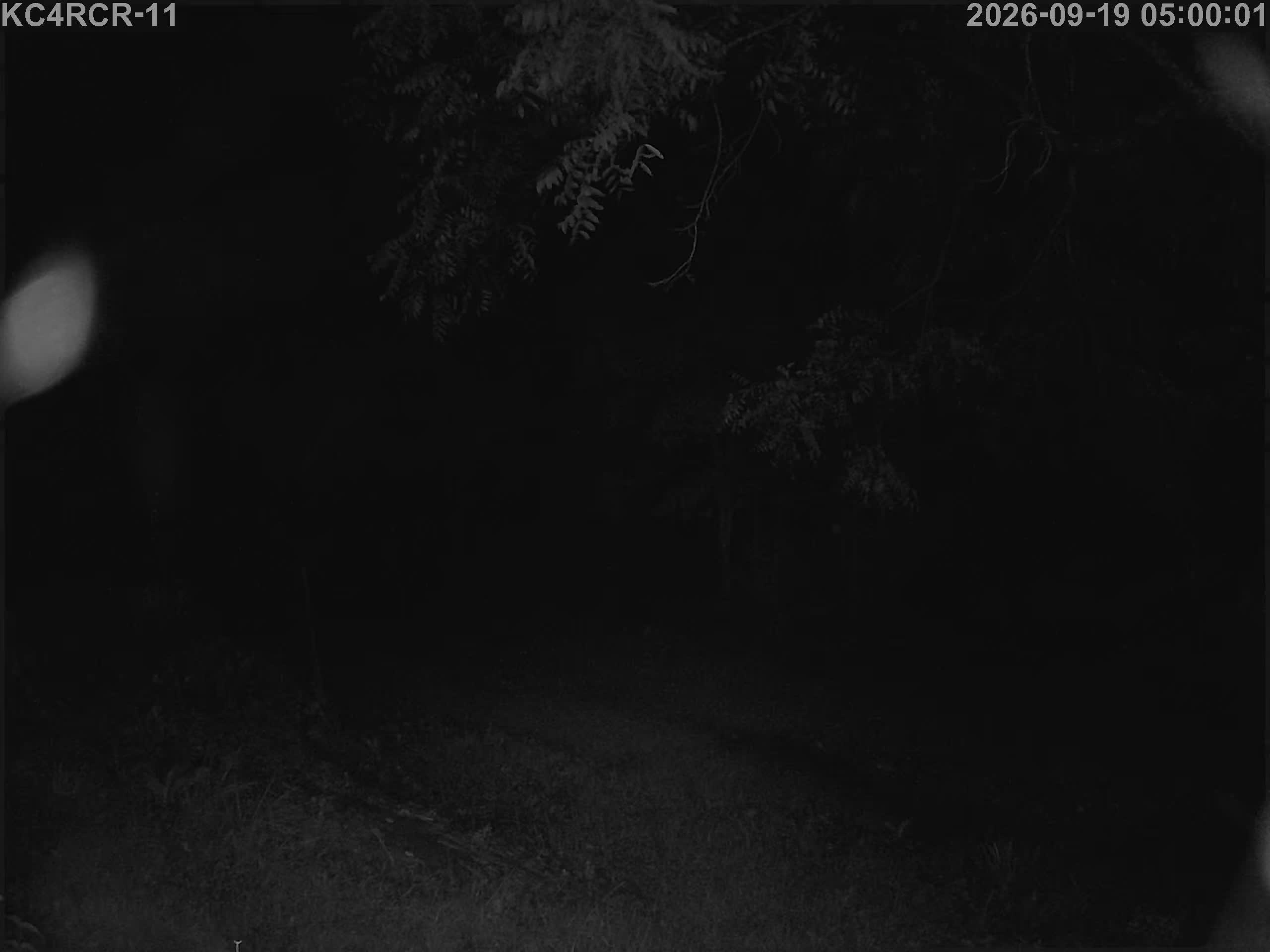 Outside camera view