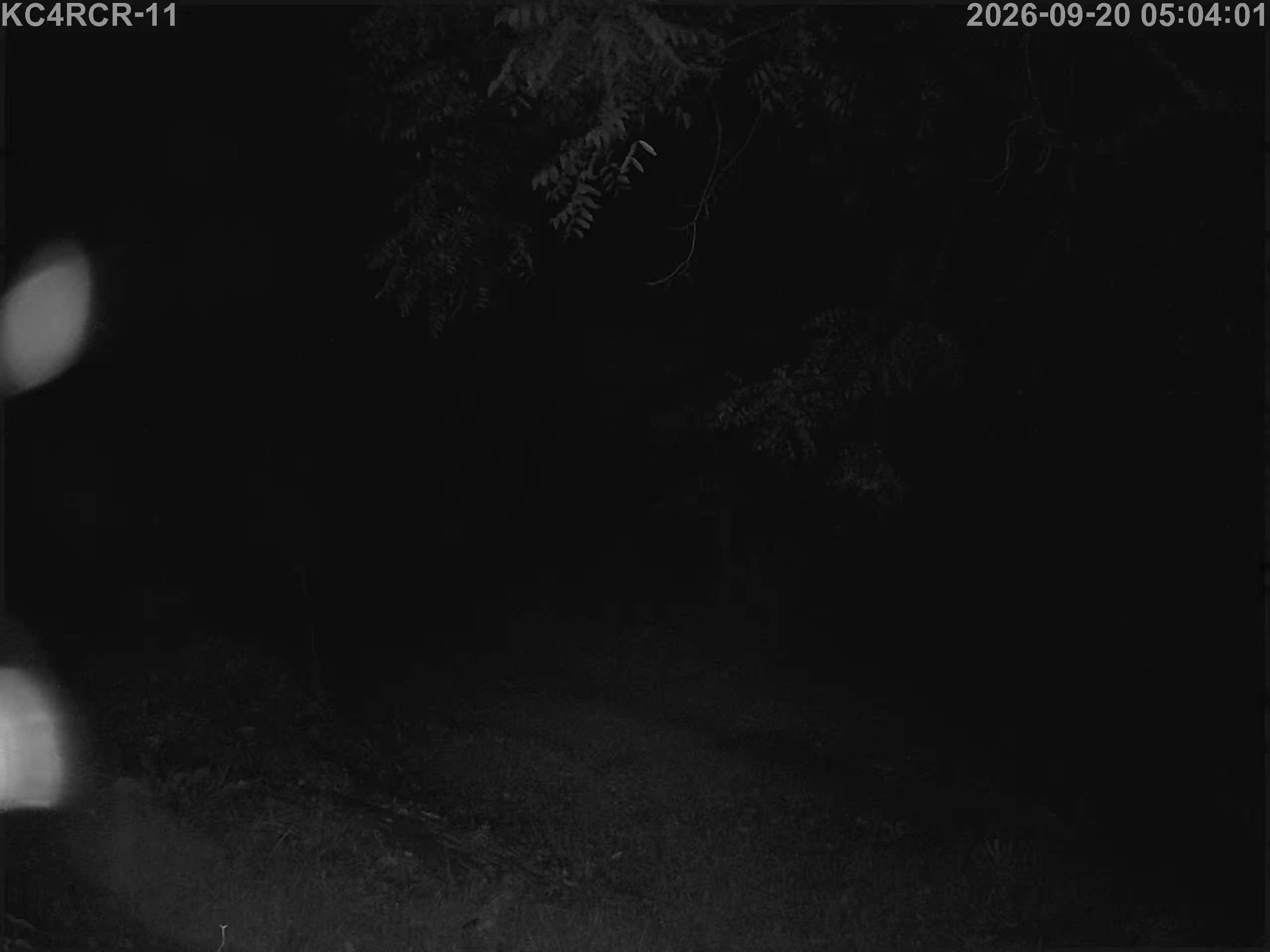 Outside camera view