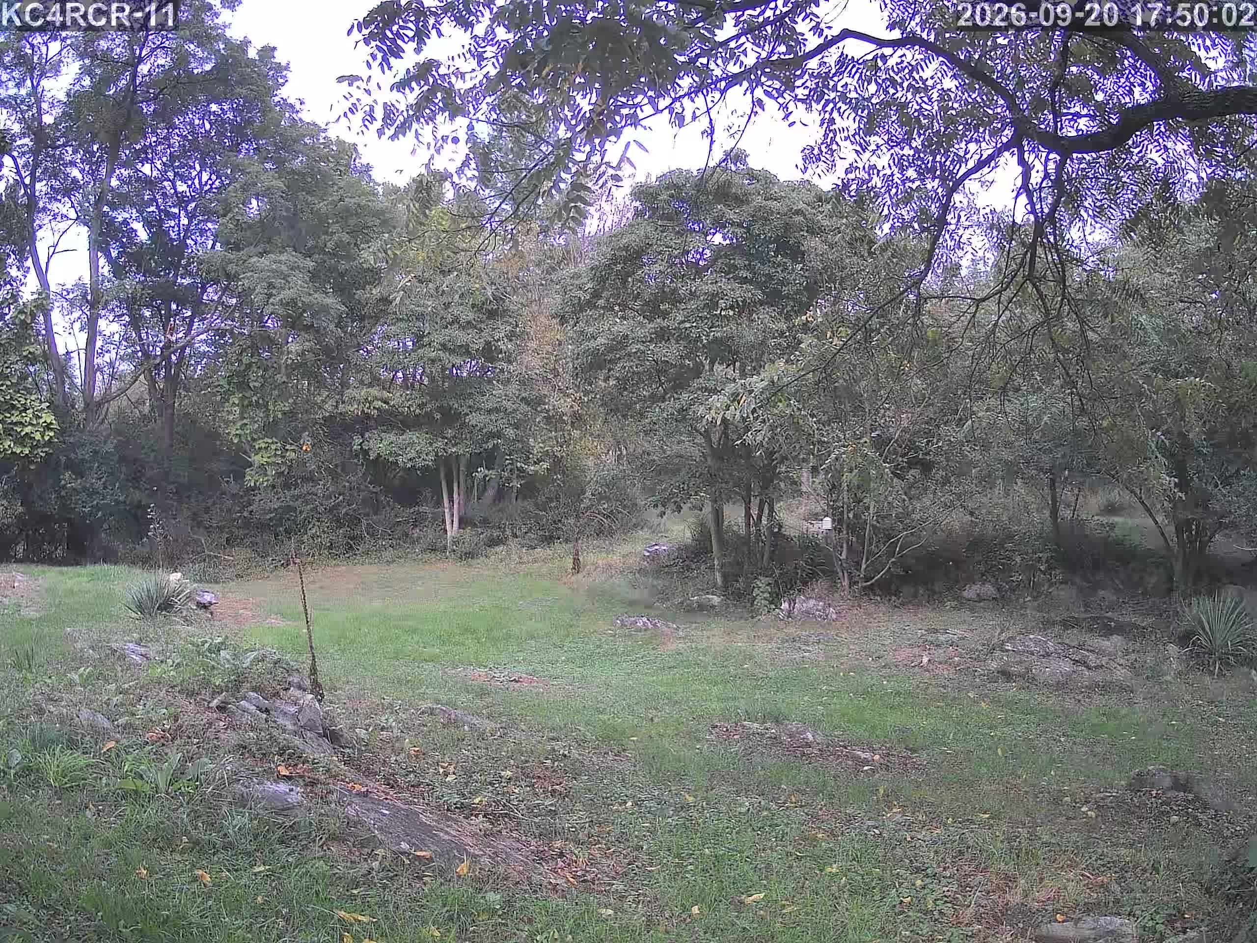 Outside camera view