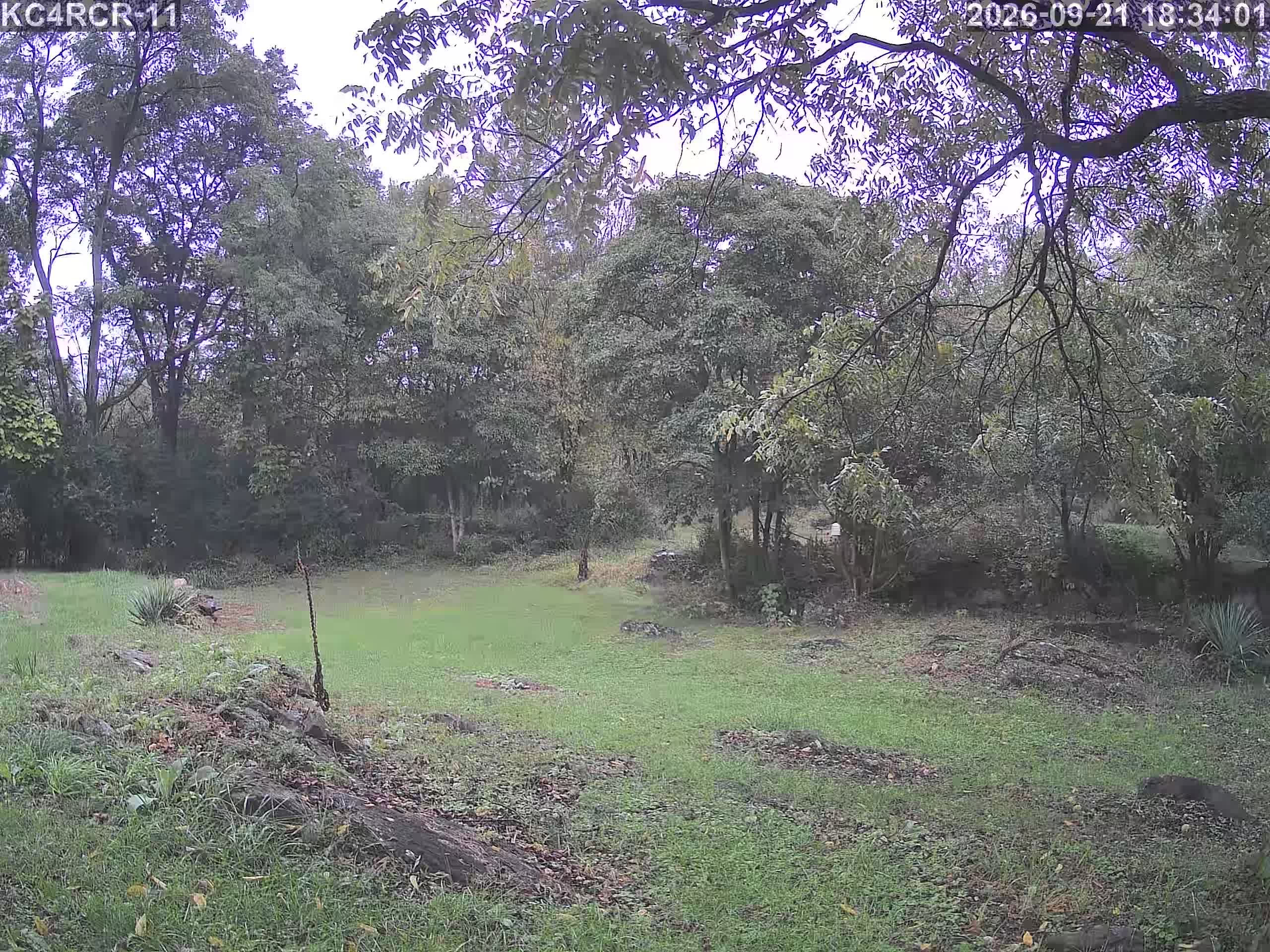Outside camera view