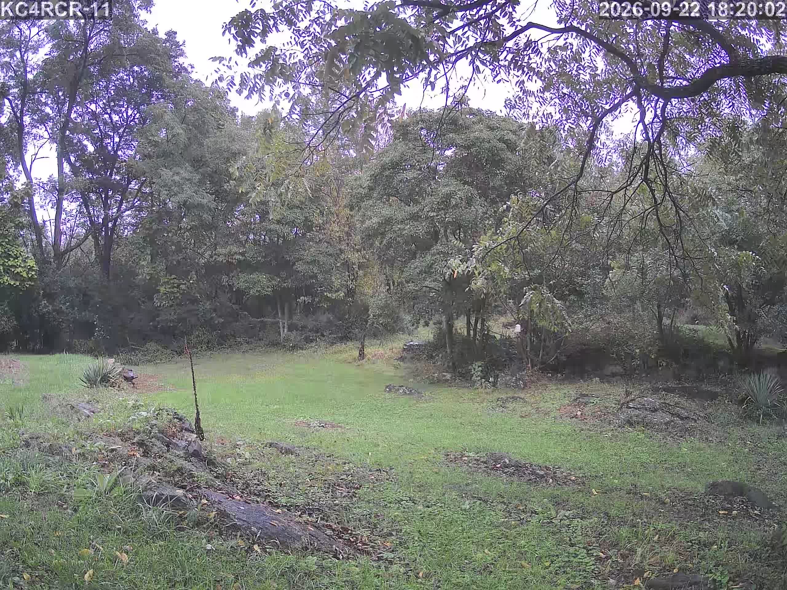 Outside camera view
