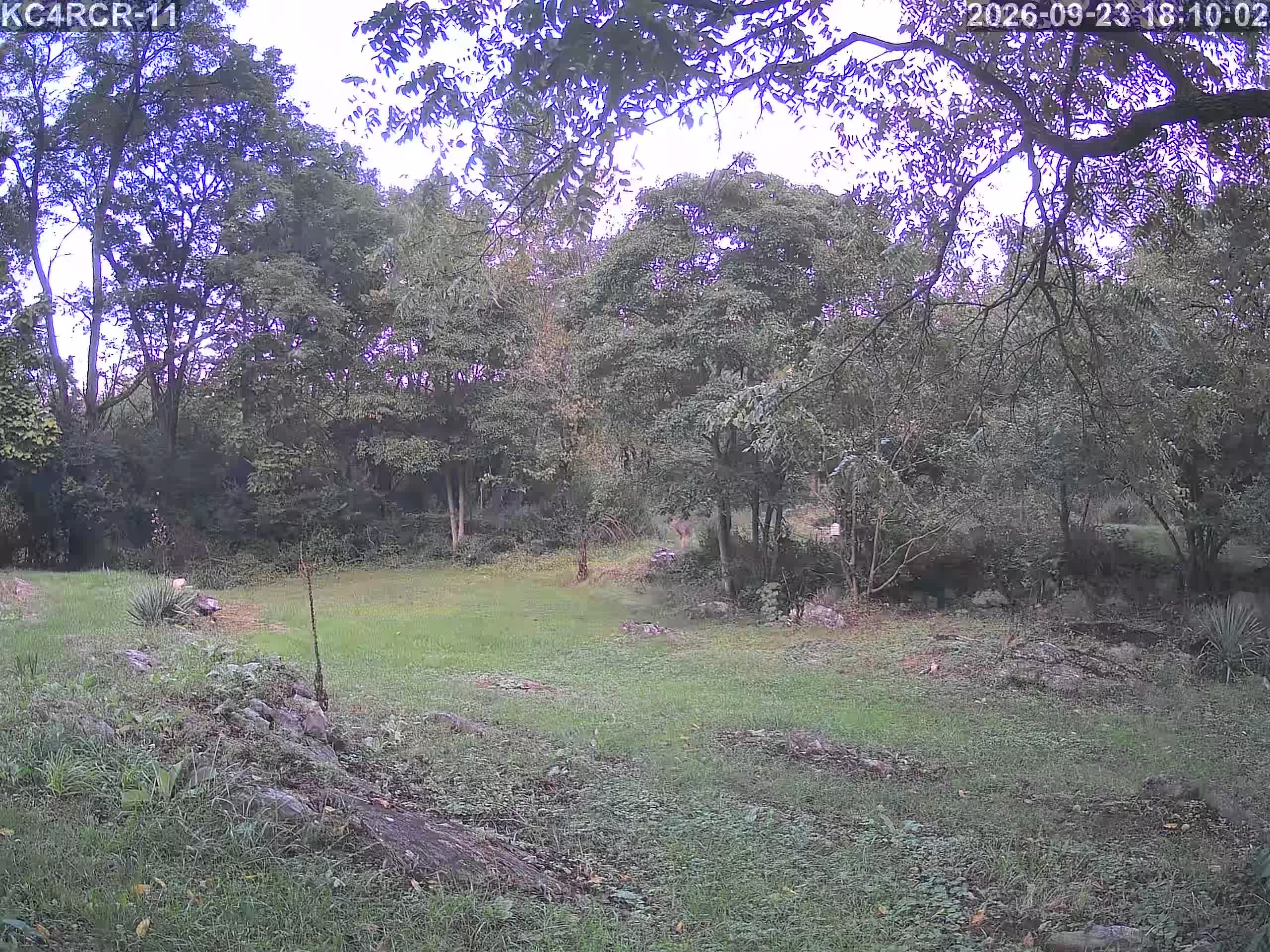Outside camera view