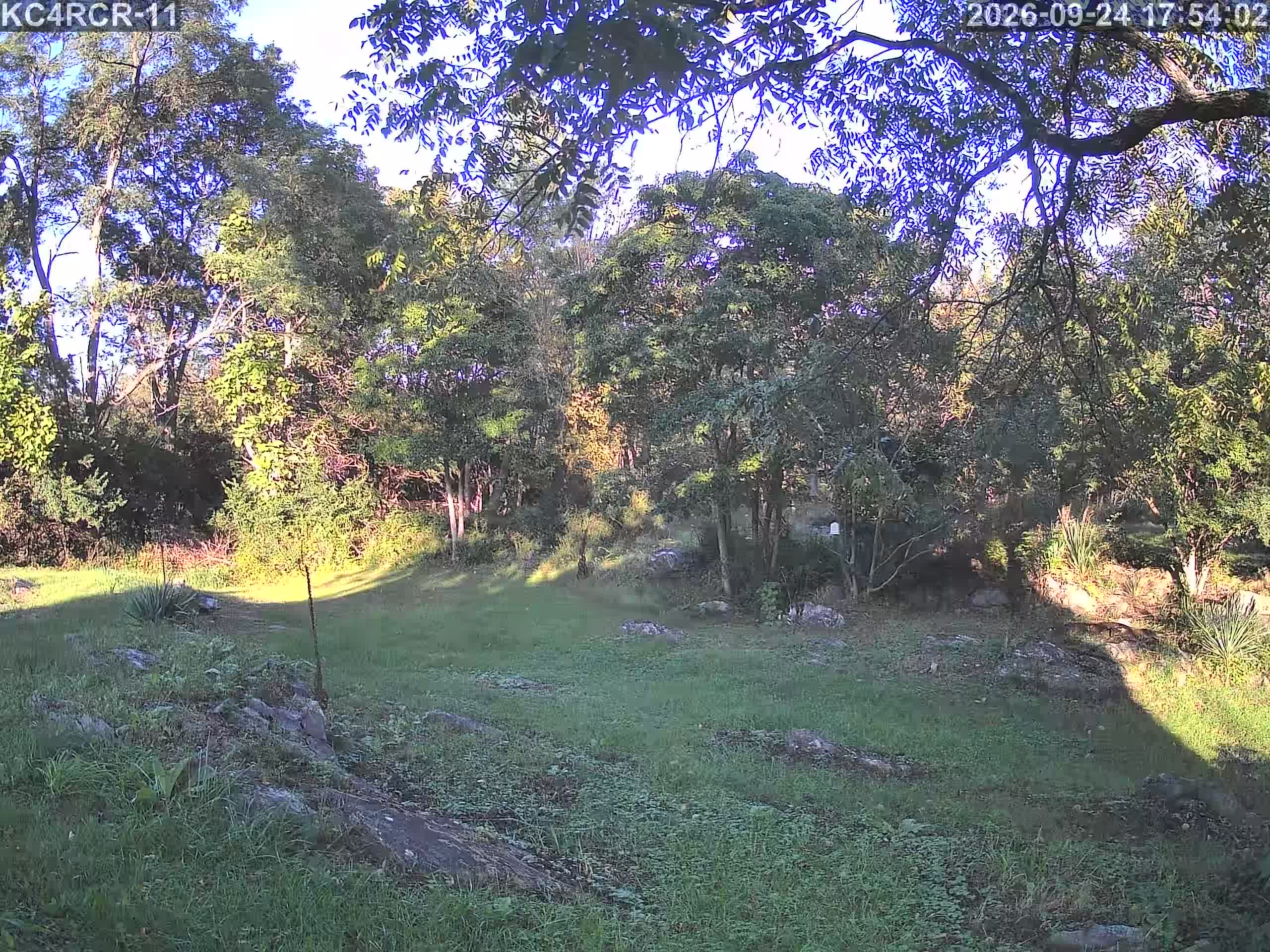 Outside camera view