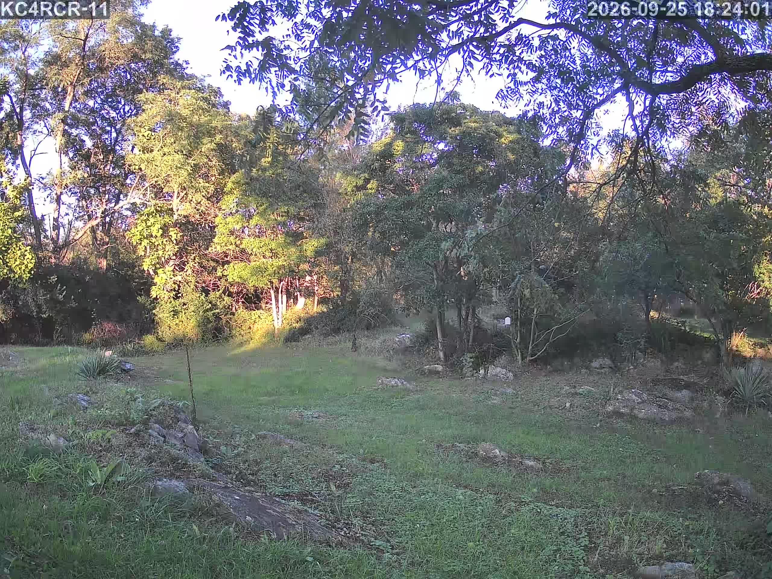 Outside camera view