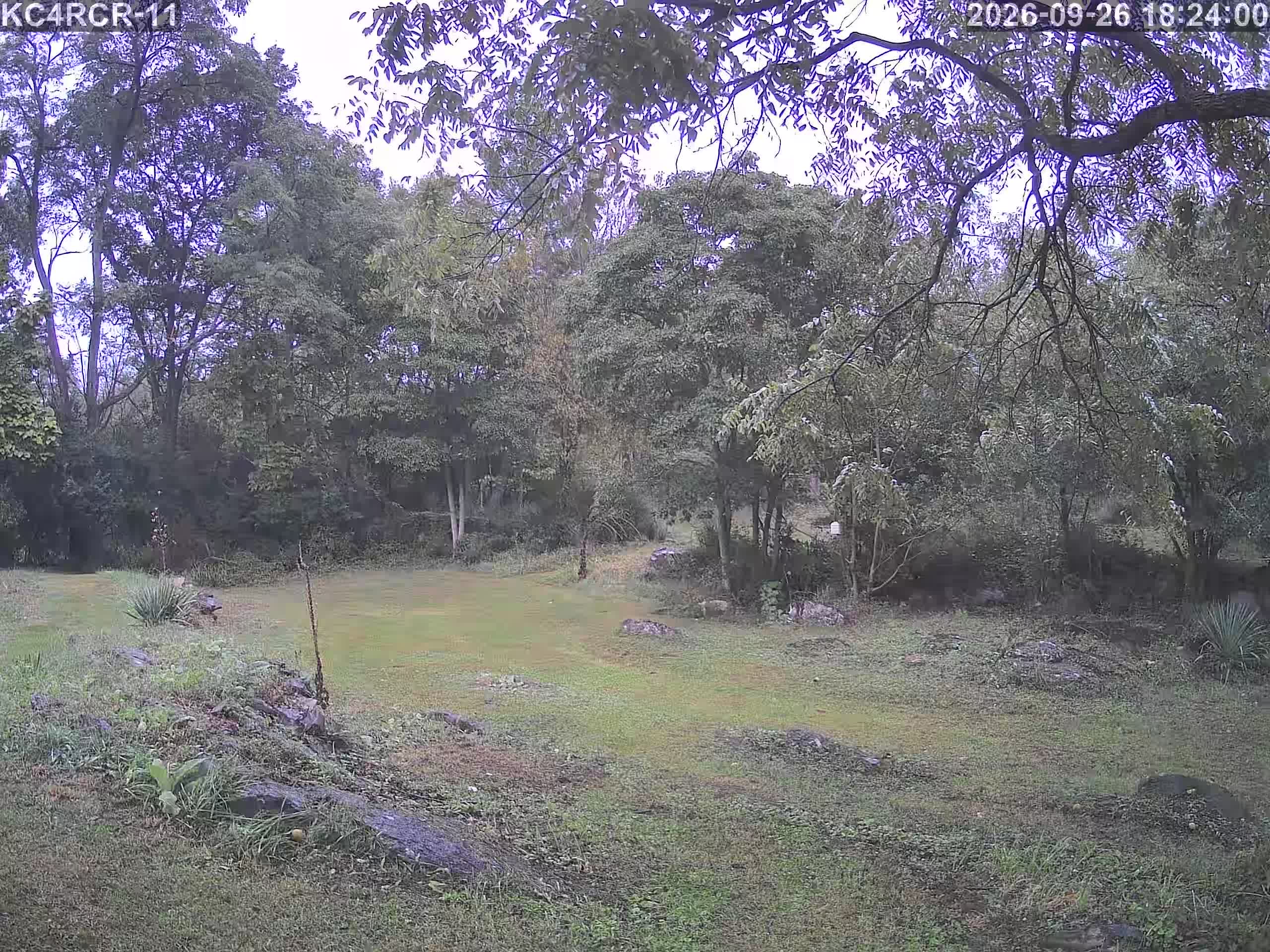 Outside camera view