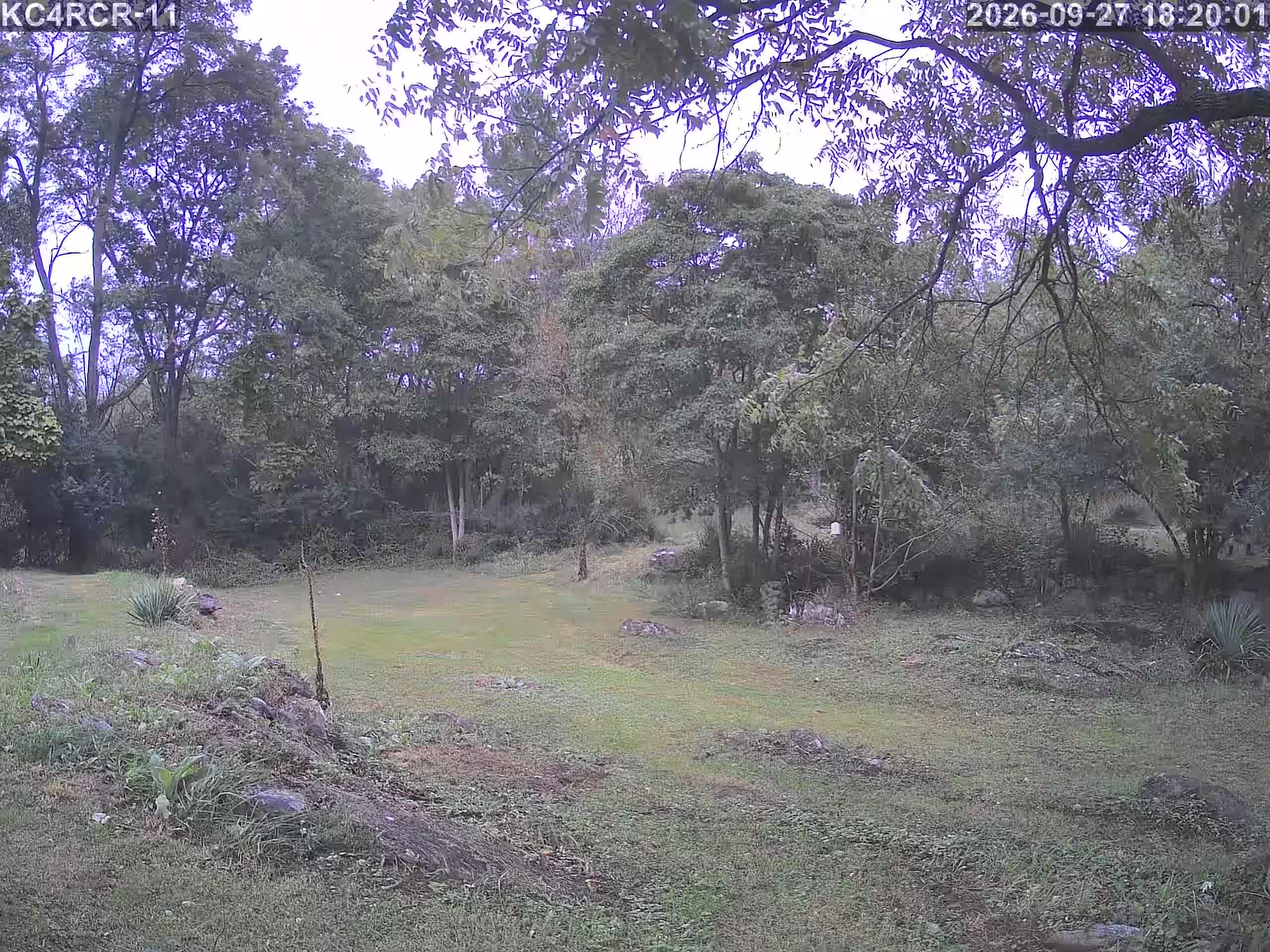 Outside camera view