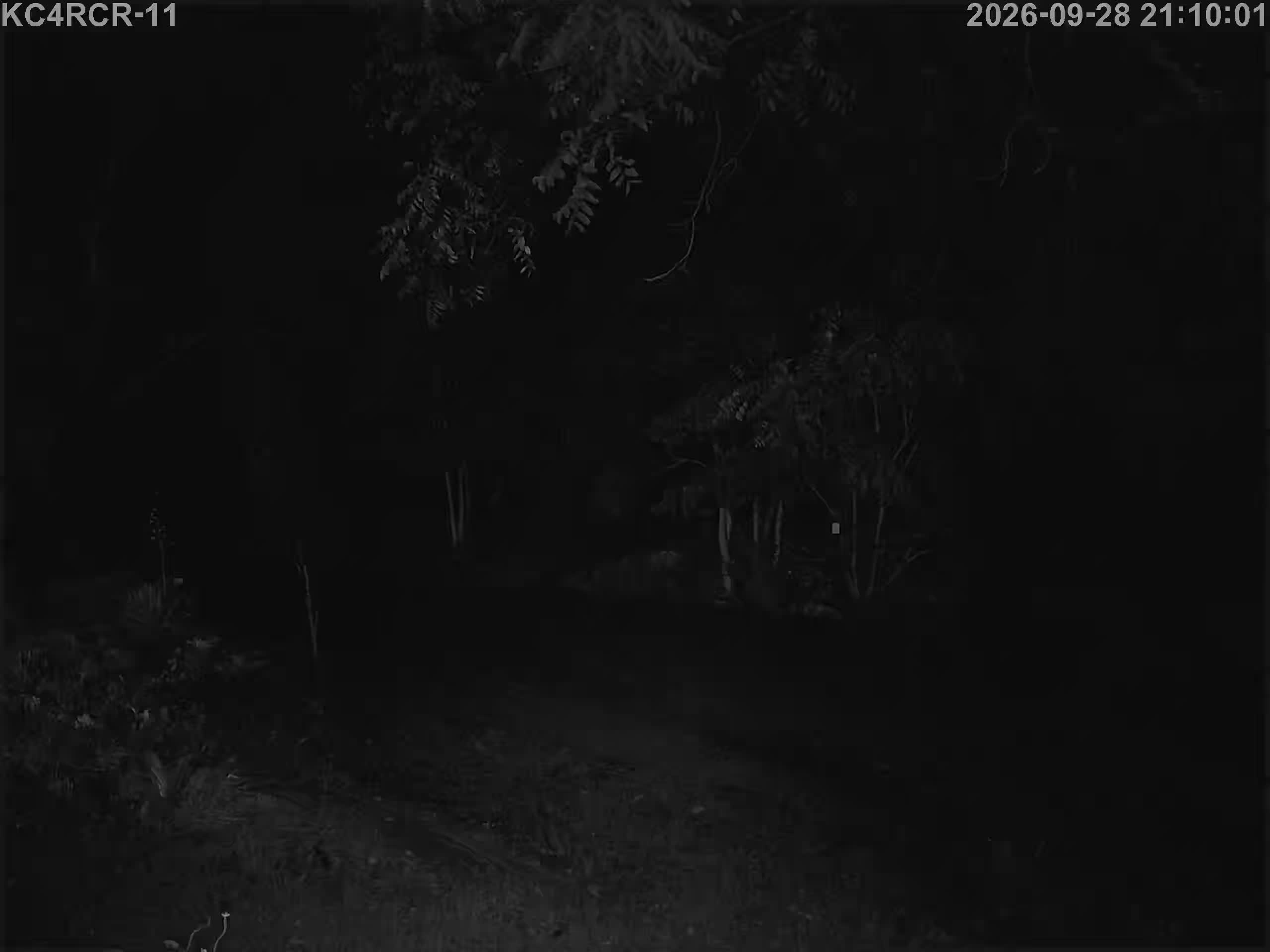 Outside camera view