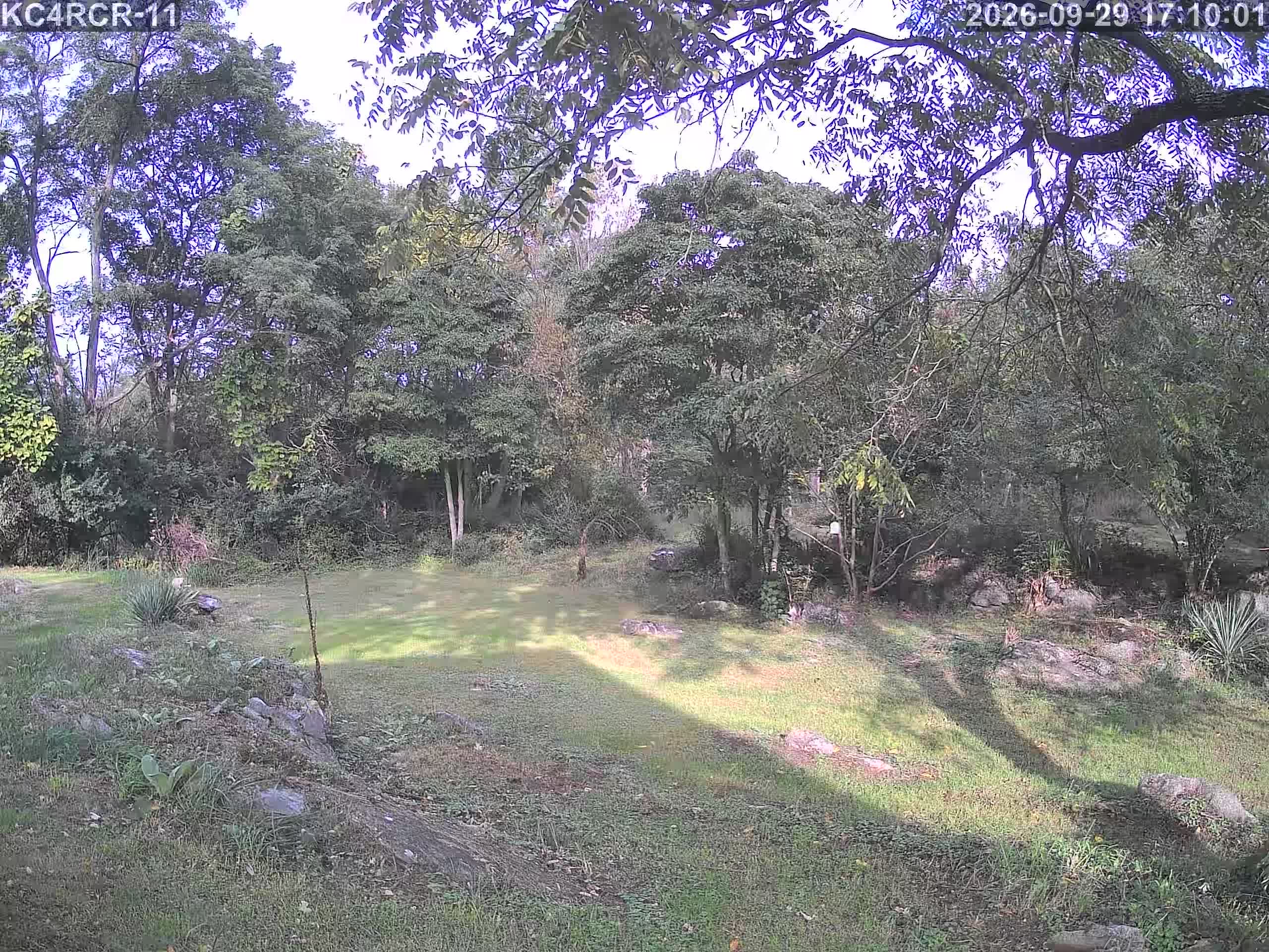 Outside camera view
