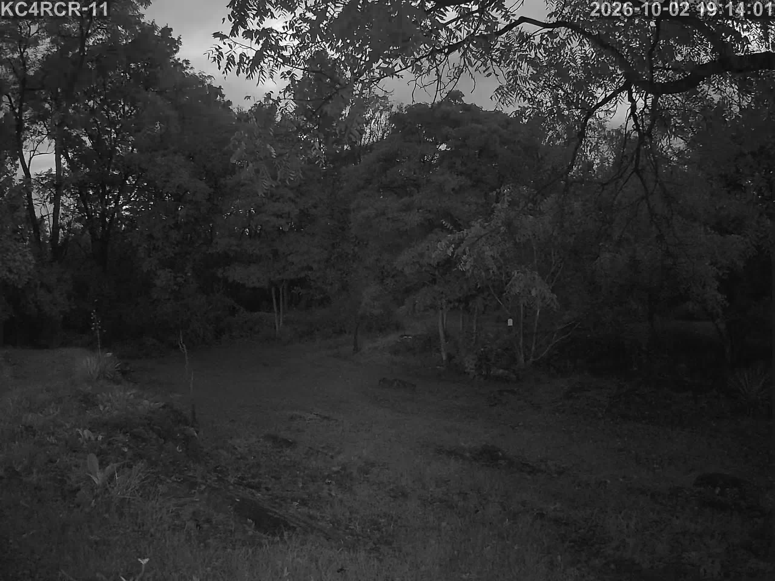 Outside camera view