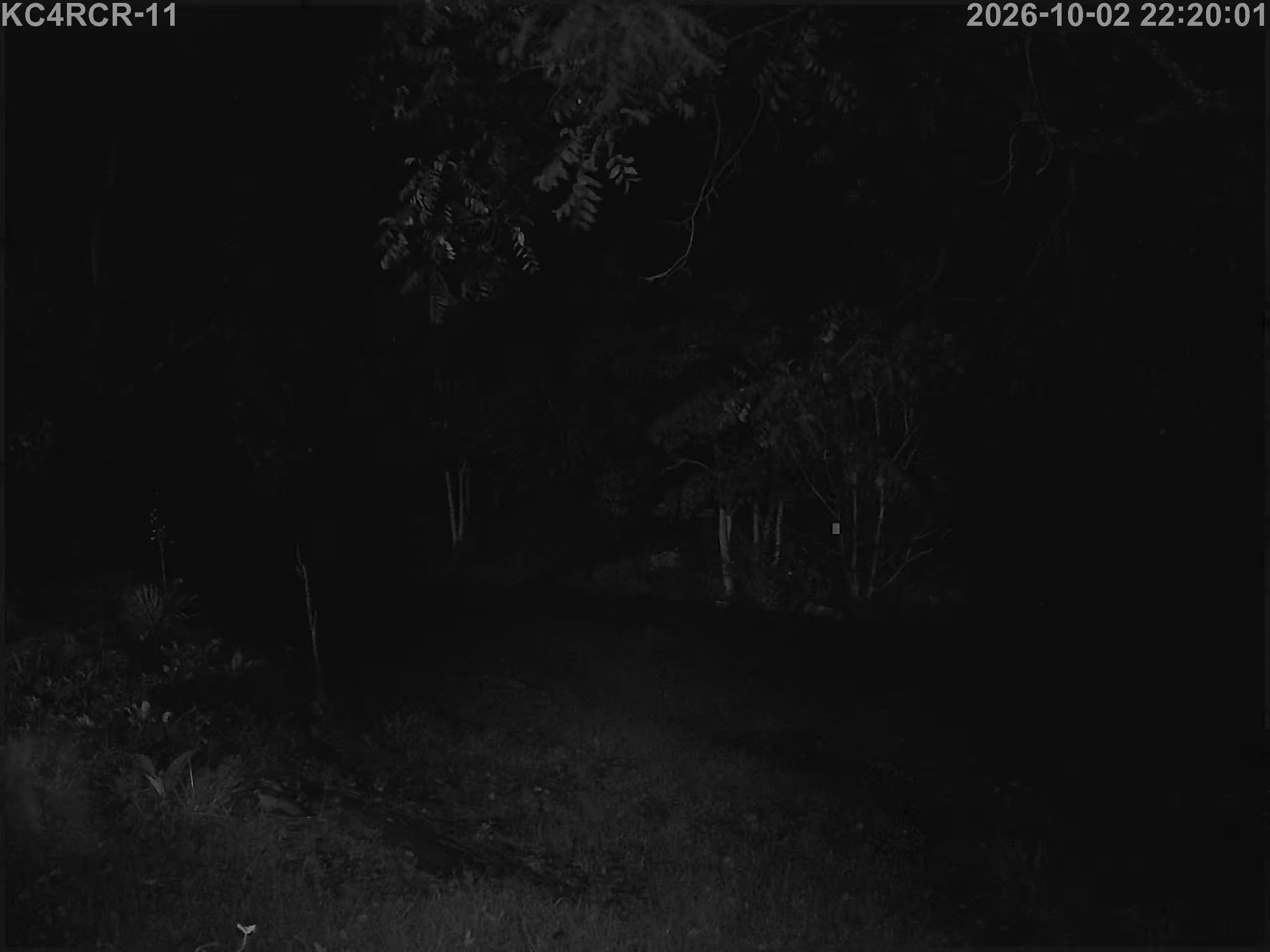 Outside camera view