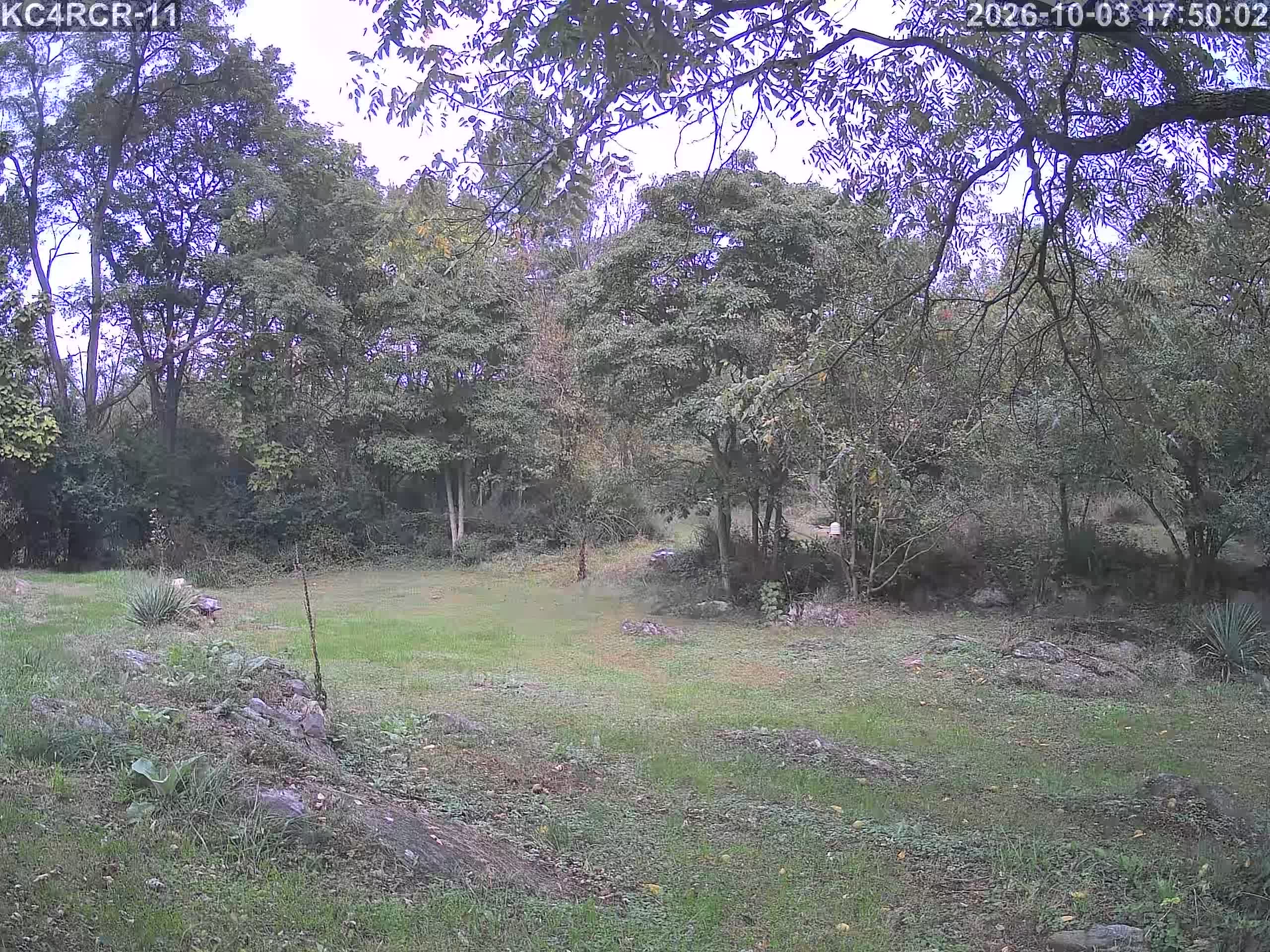 Outside camera view