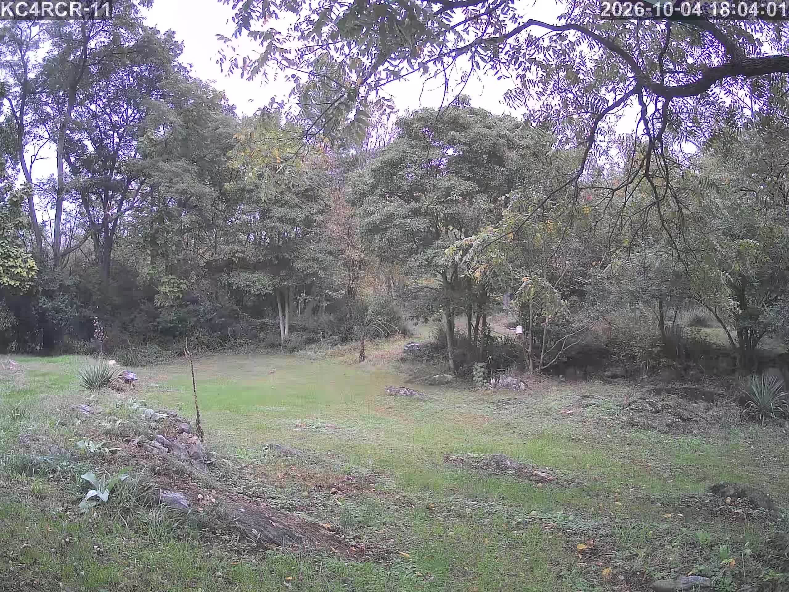 Outside camera view