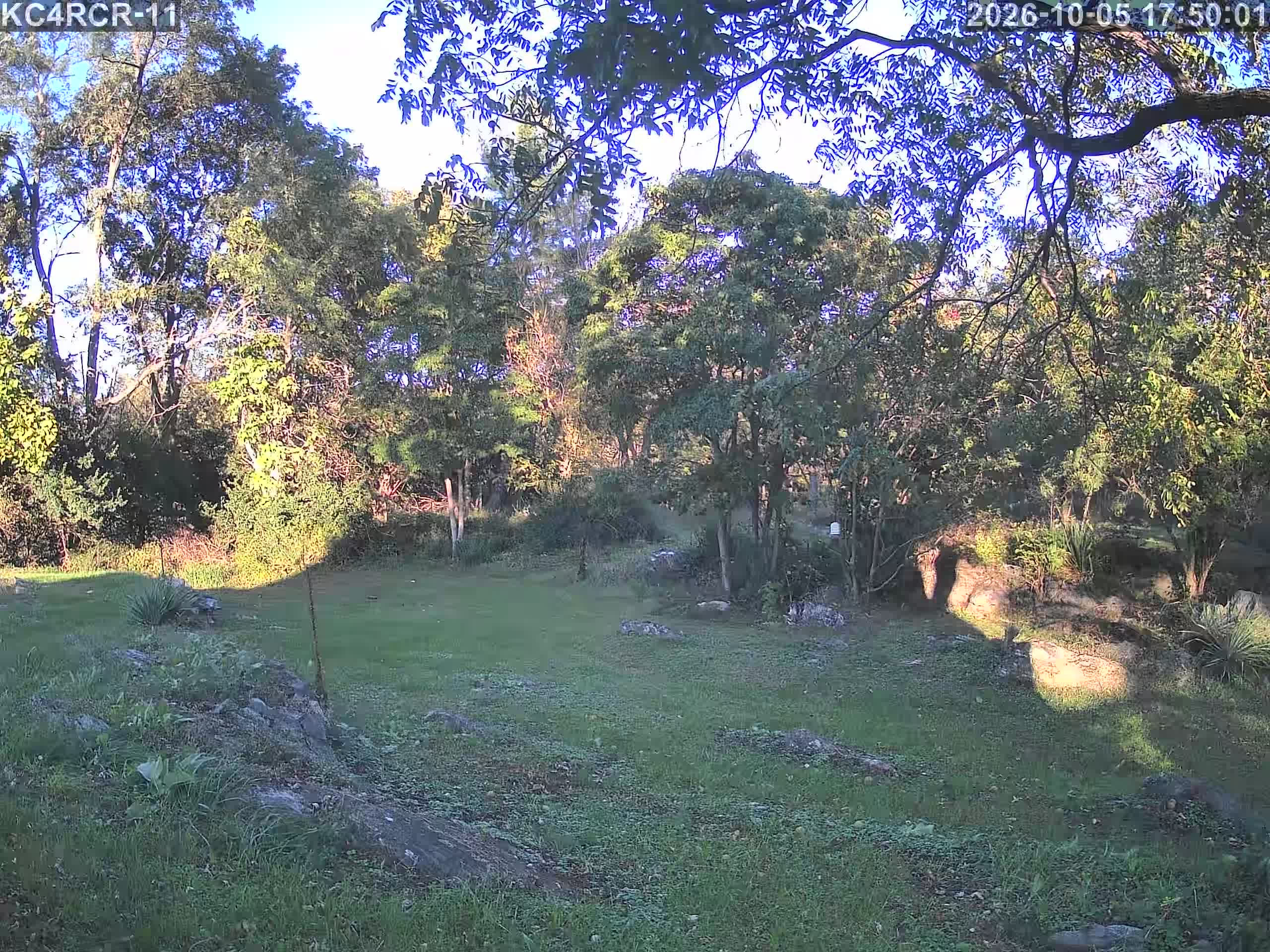 Outside camera view