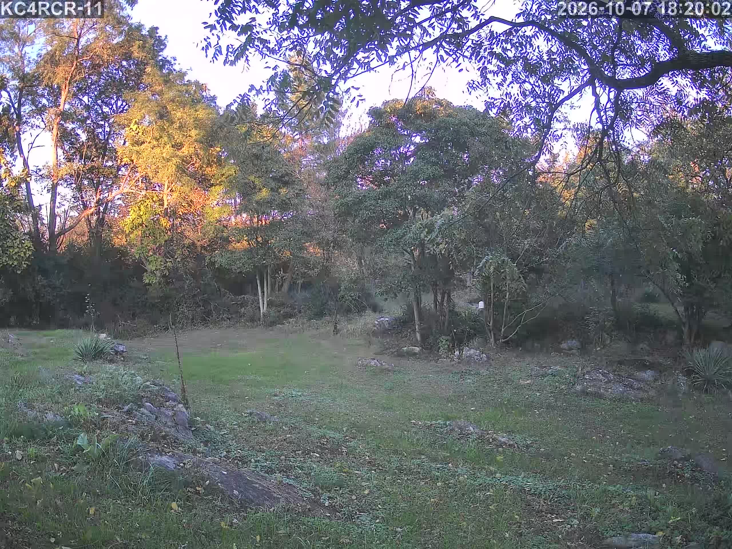 Outside camera view
