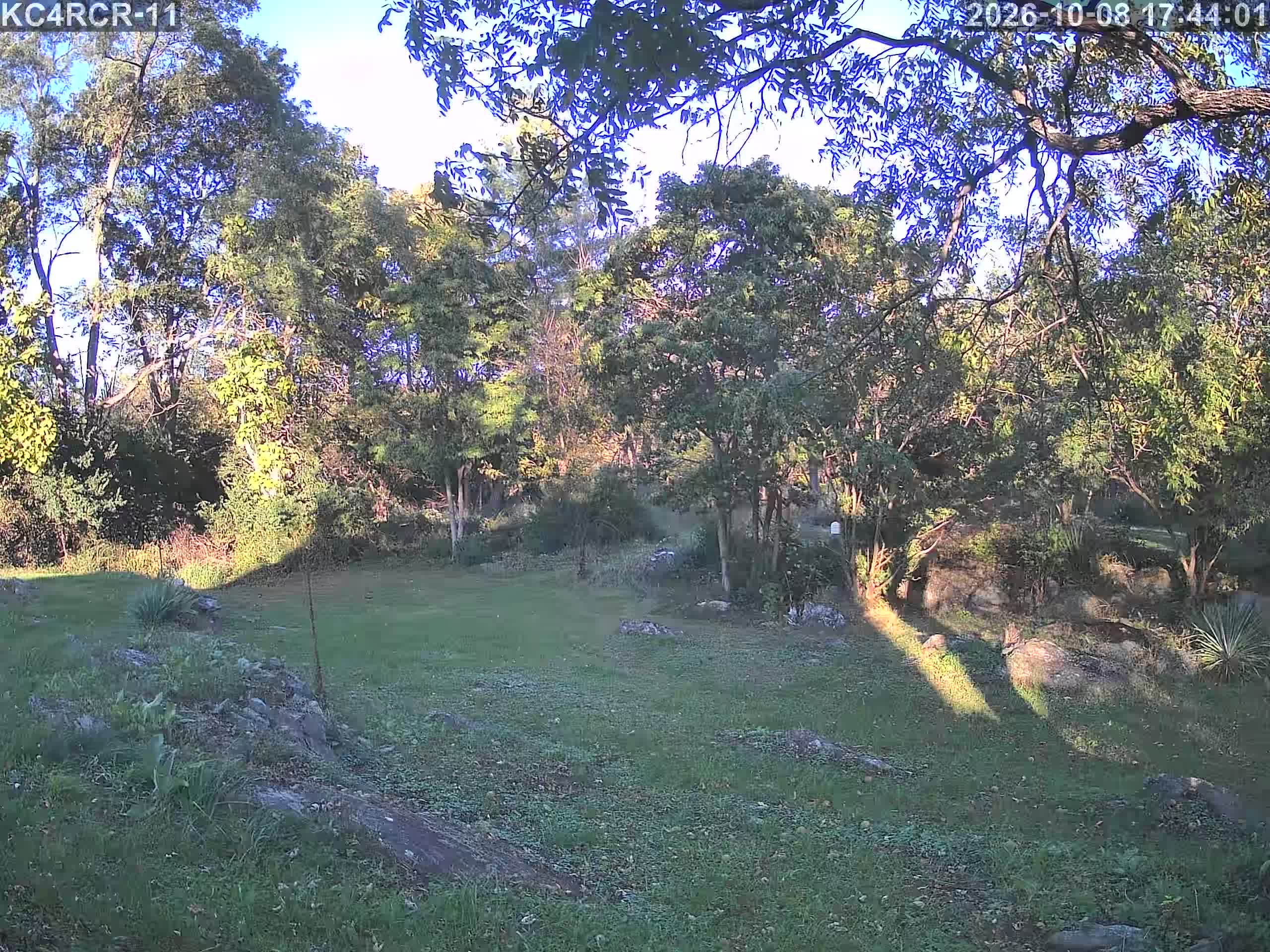 Outside camera view